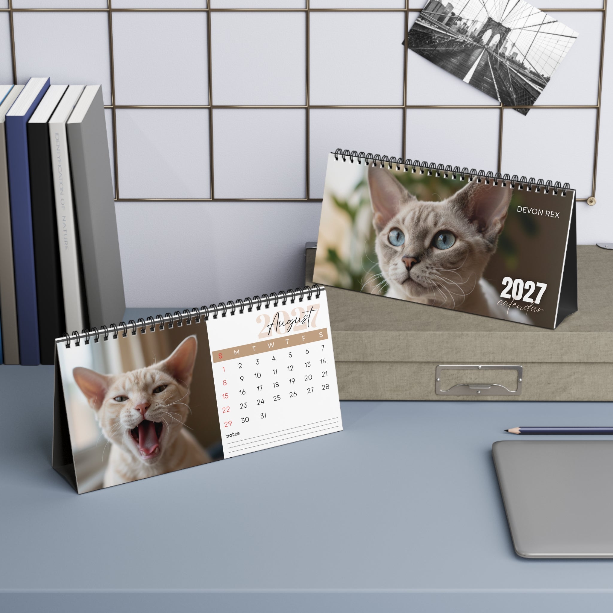 Devon Rex Desk Calendar 2027