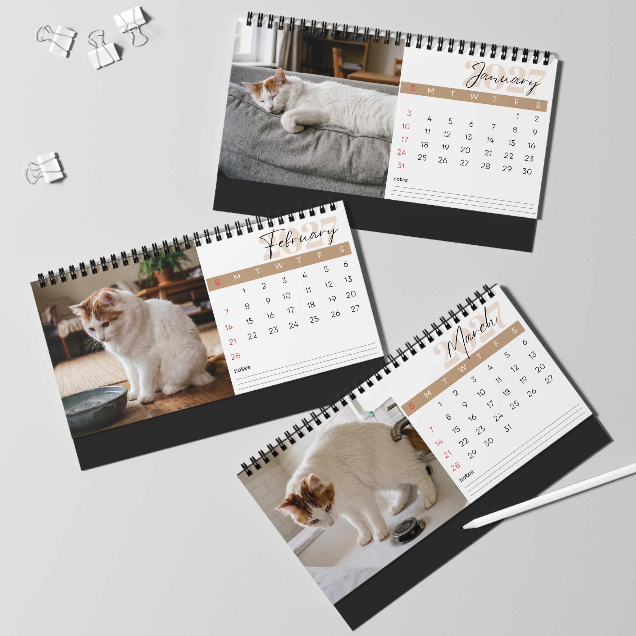 Turkish Van Cat Desk Calendar 2027