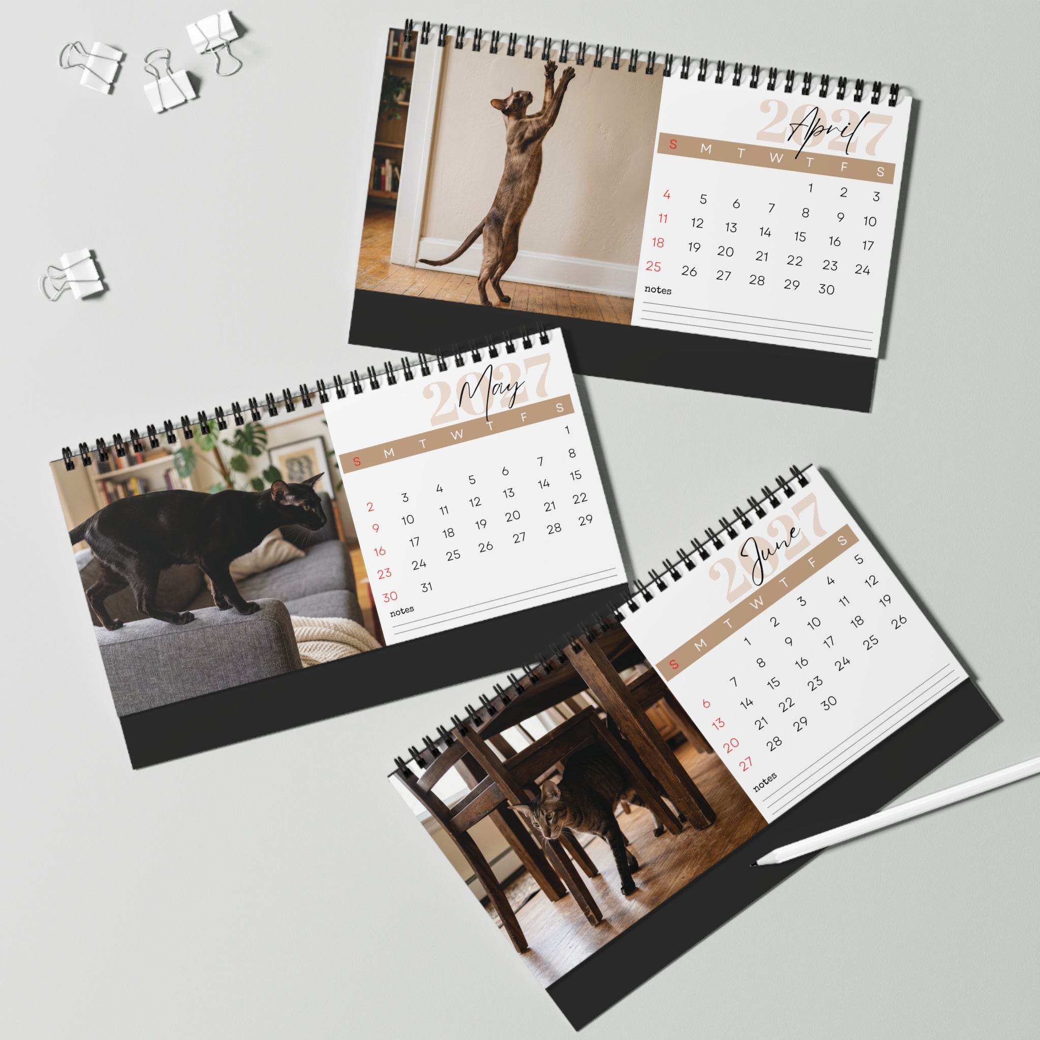 Oriental Shorthair Desk Calendar 2027
