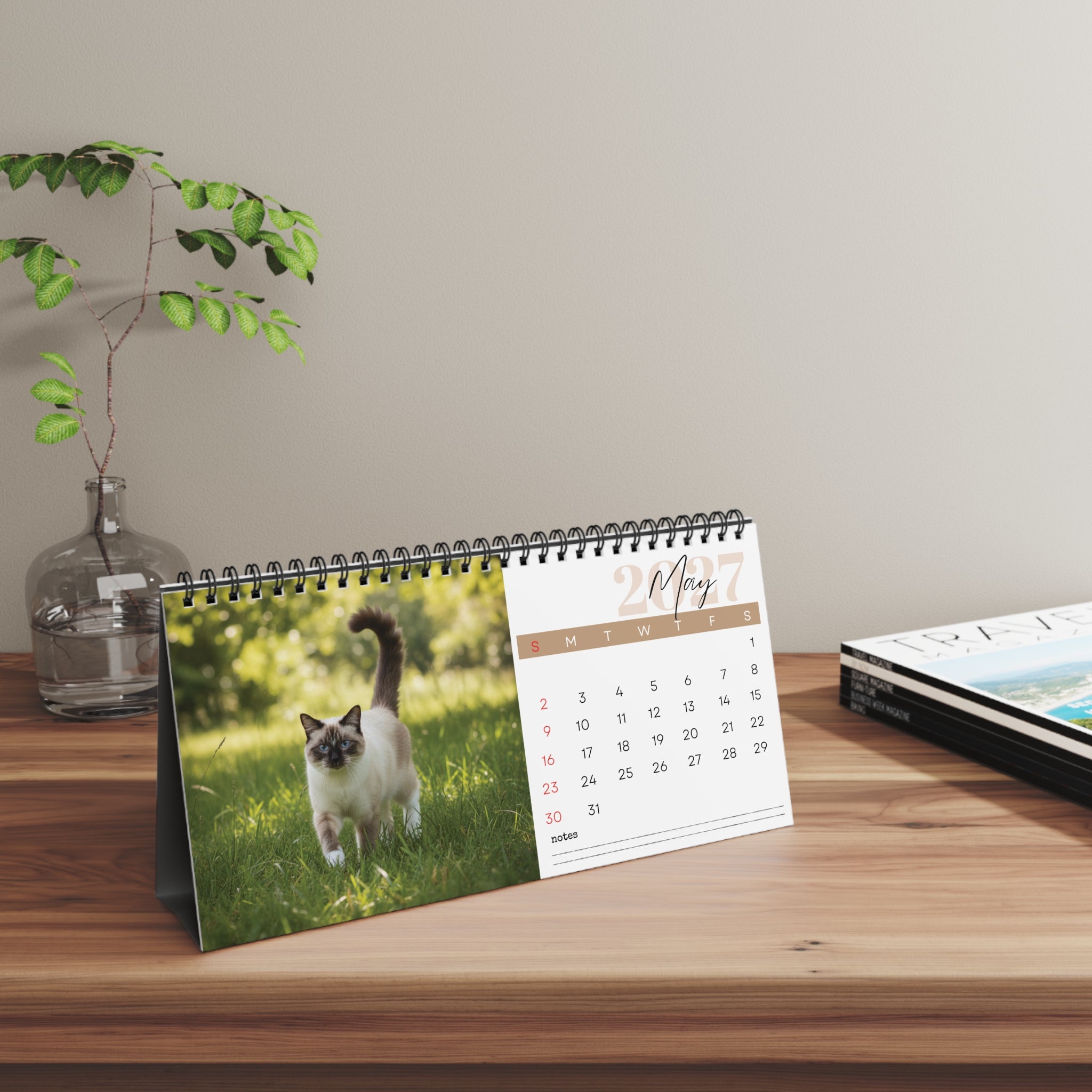 Birman Cat Desk Calendar 2027
