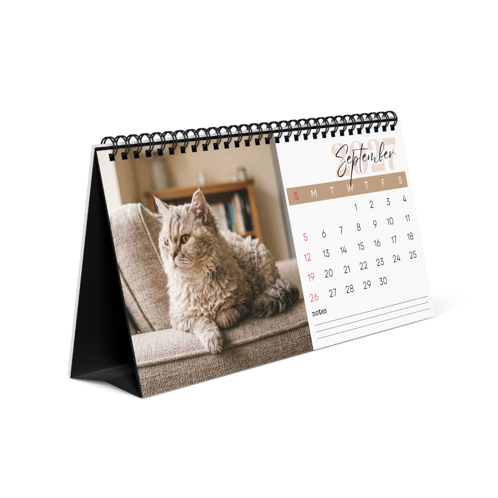 Selkirk Rex Cat Desk Calendar 2027