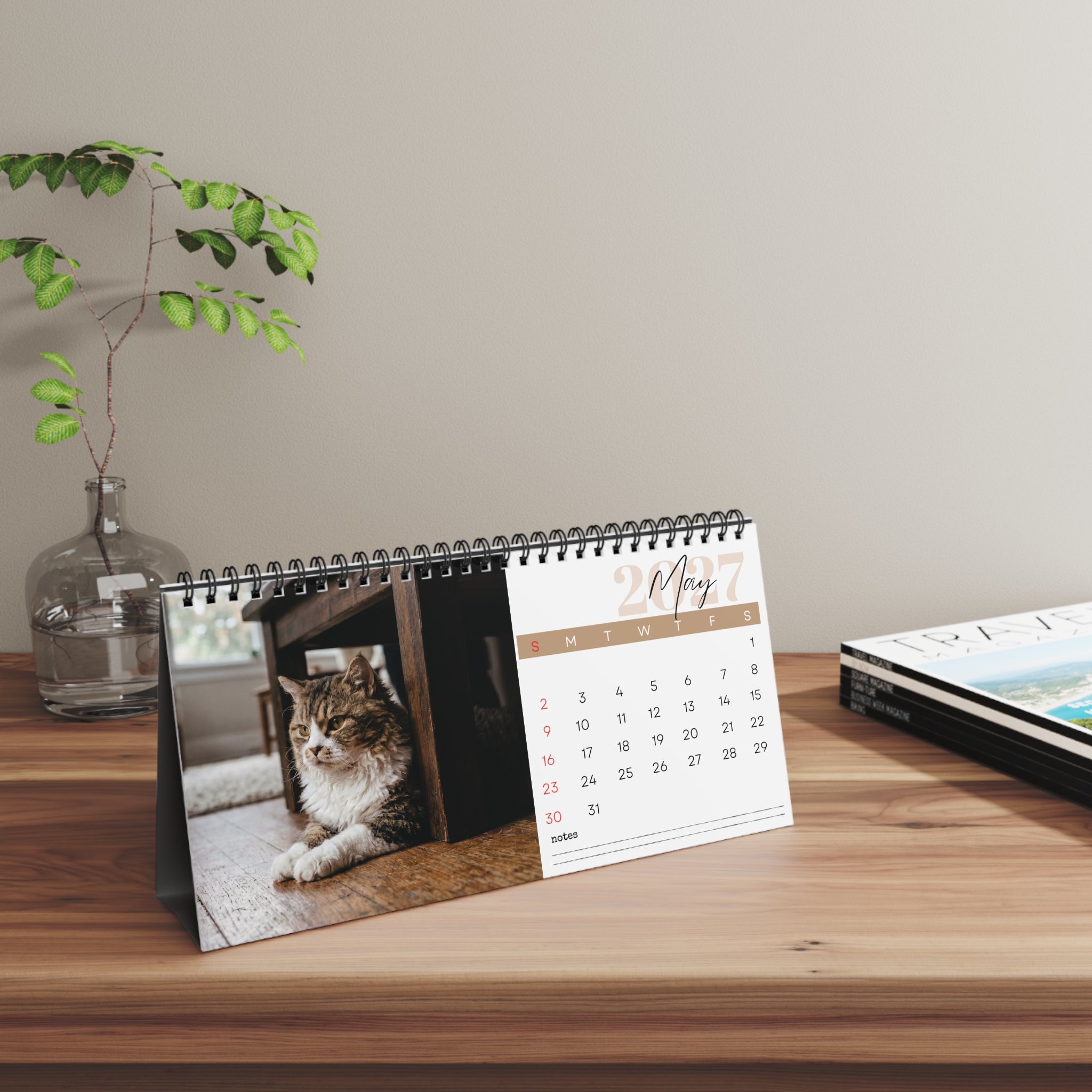 Selkirk Rex Cat Desk Calendar 2027