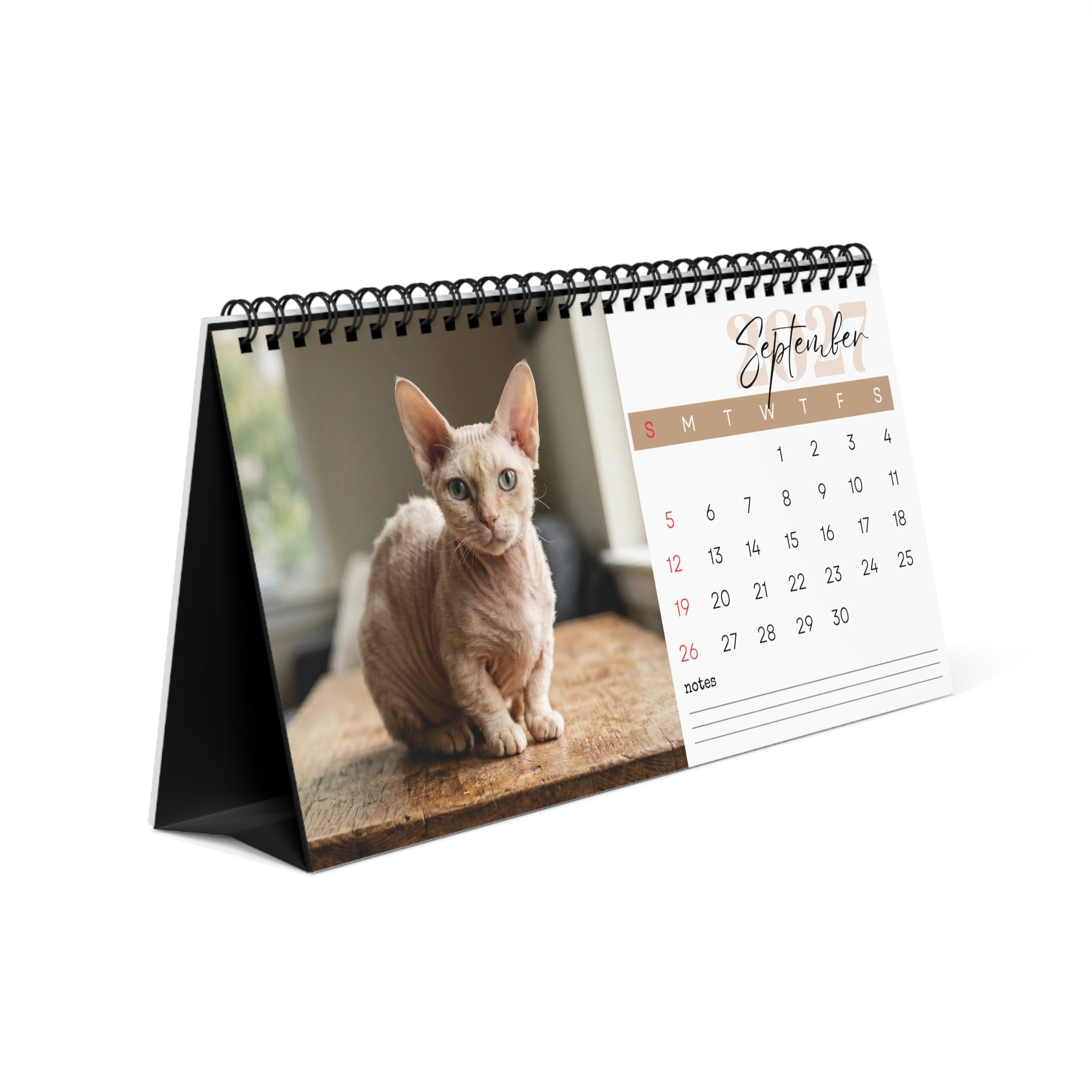 Minskin Cat Desk Calendar 2027