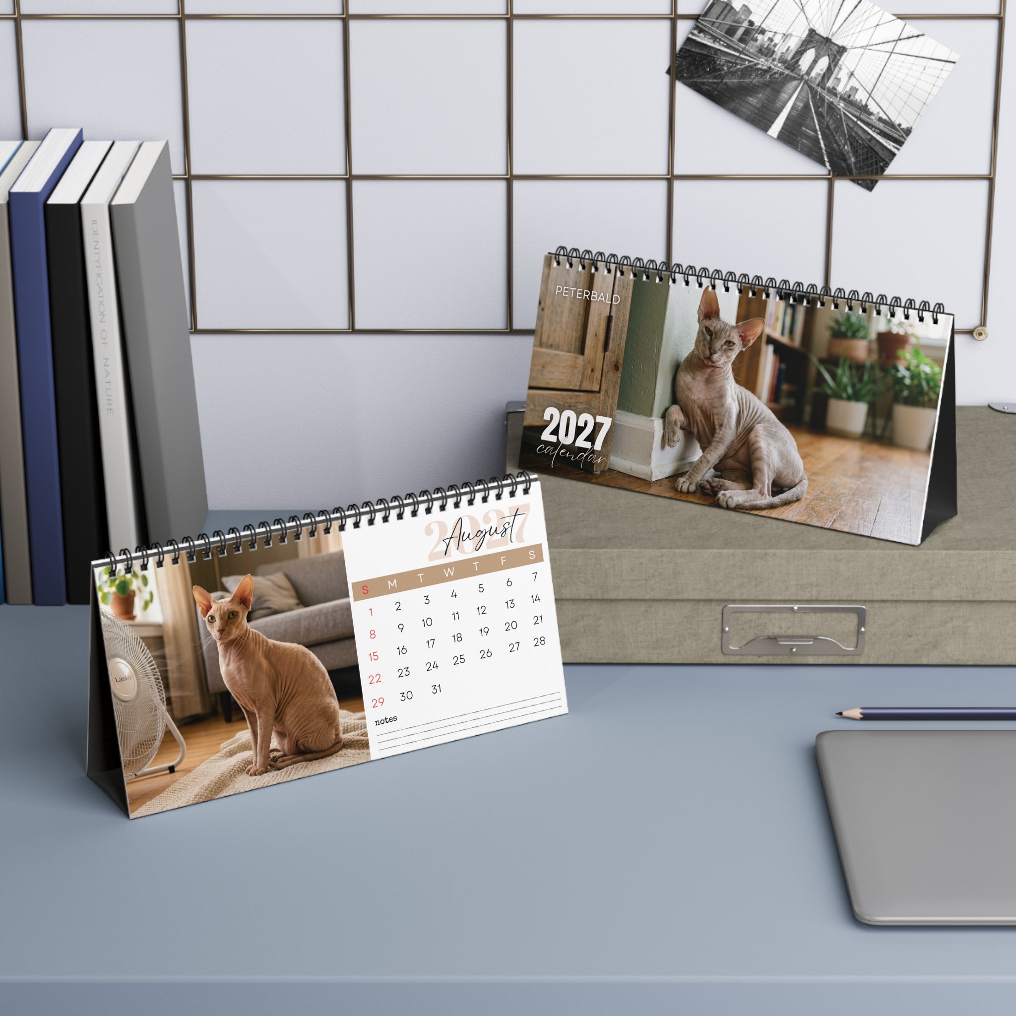 Peterbald Cat Desk Calendar 2027