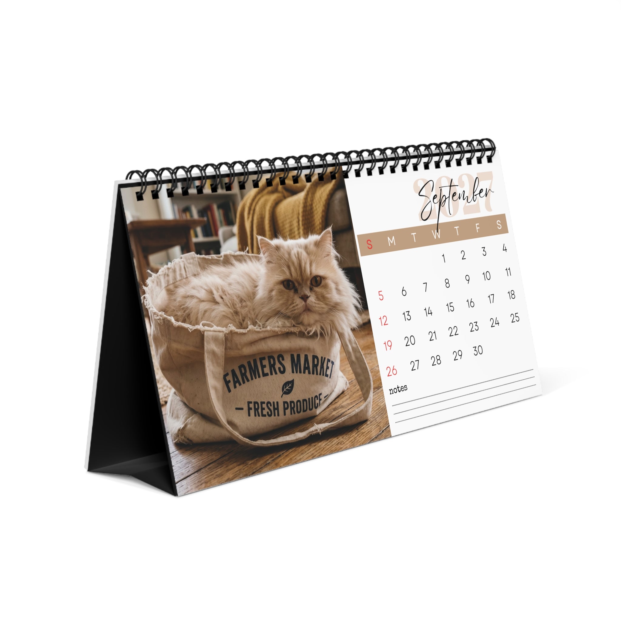 Persian Cat Desk Calendar 2027
