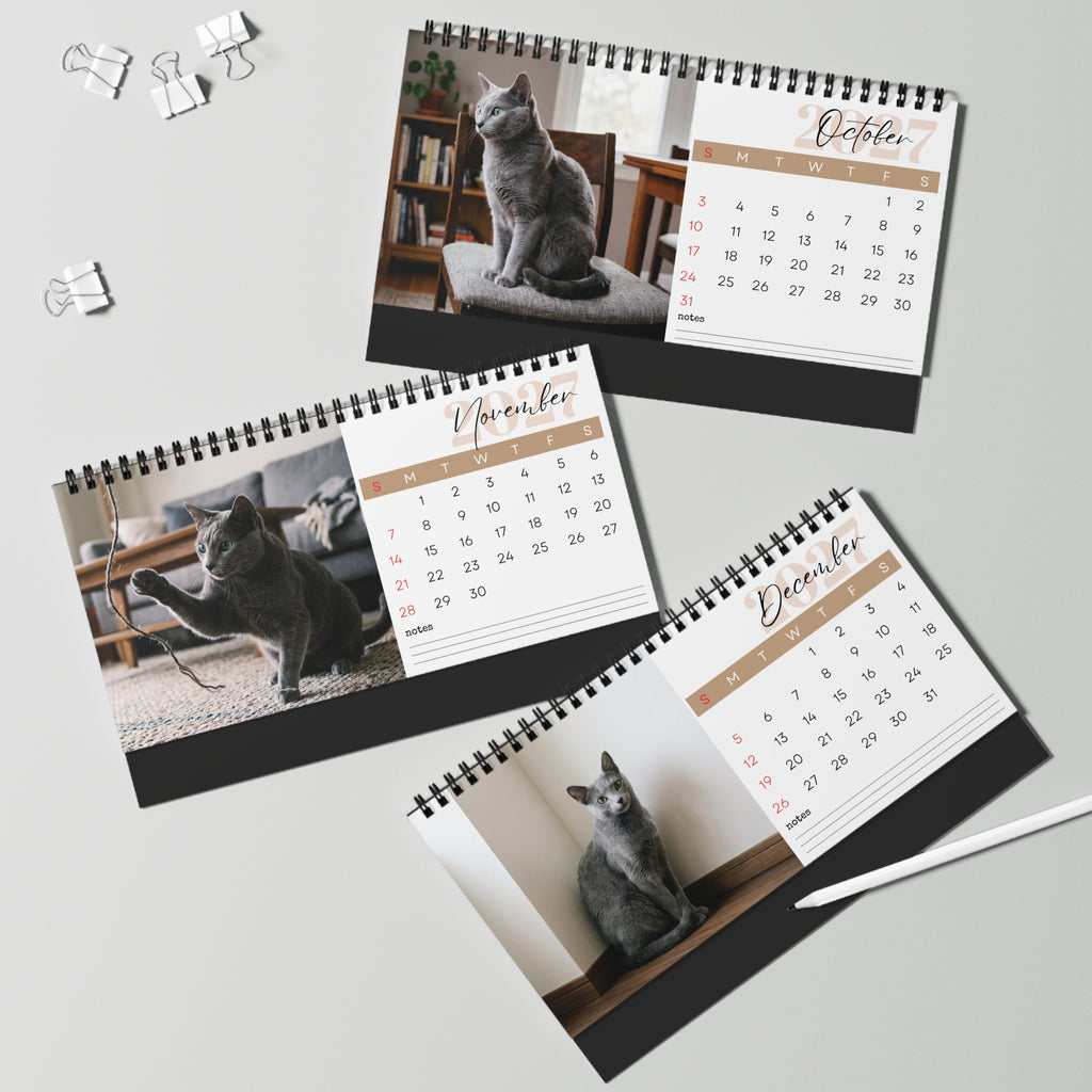 Russian Blue Cat Desk Calendar 2027