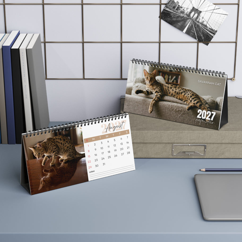 Savannah Cat Desk Calendar 2027