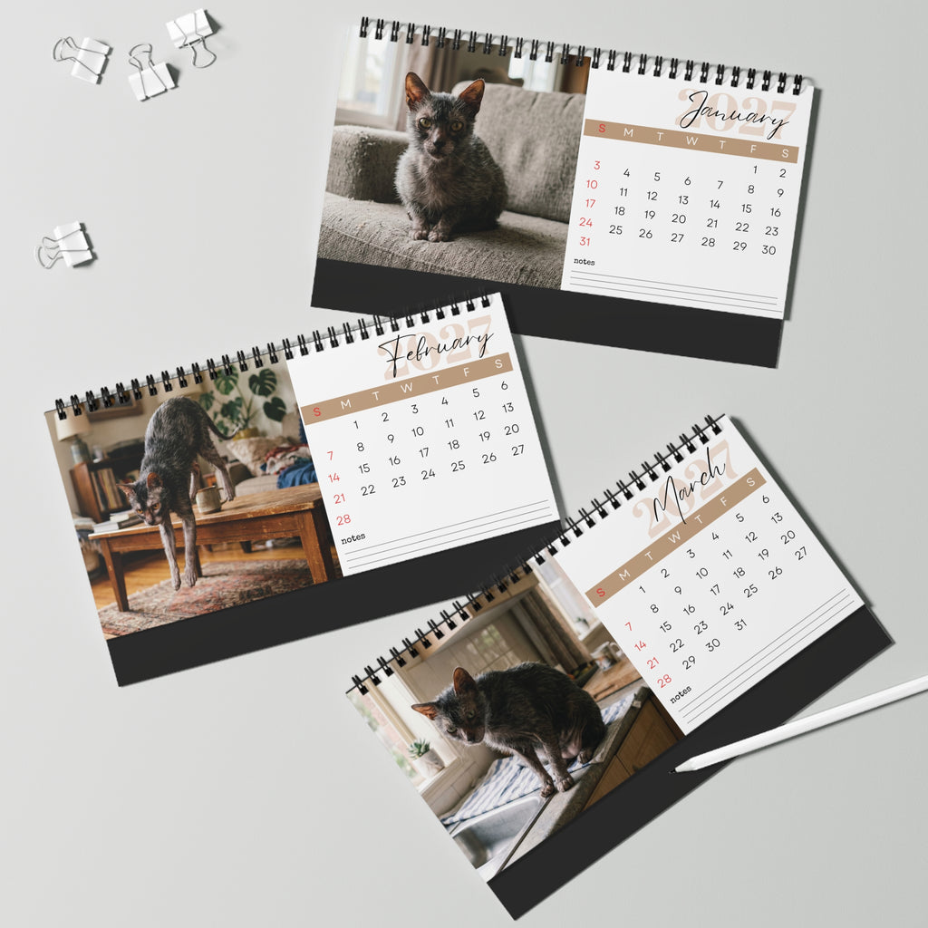 Lykoi Cat Desk Calendar 2027