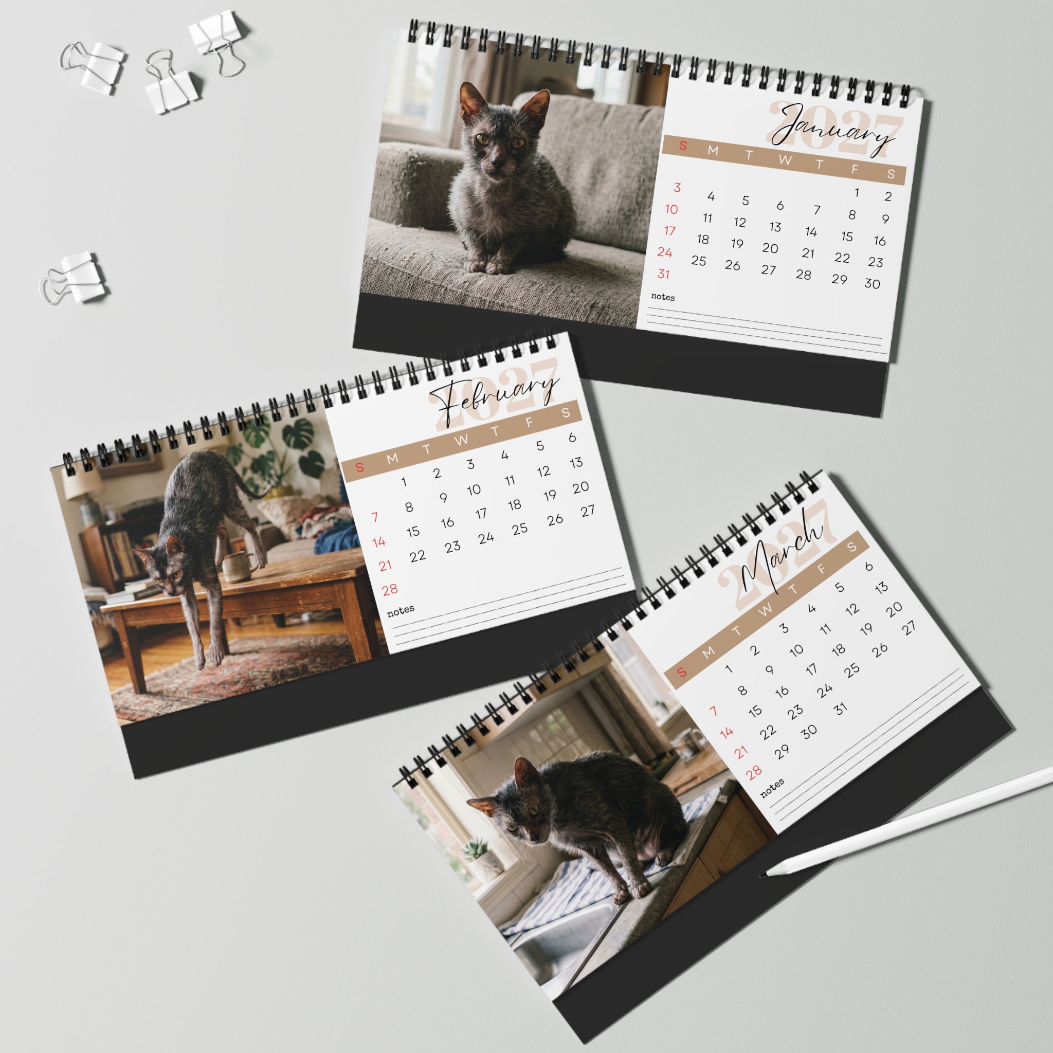 Lykoi Cat Desk Calendar 2027