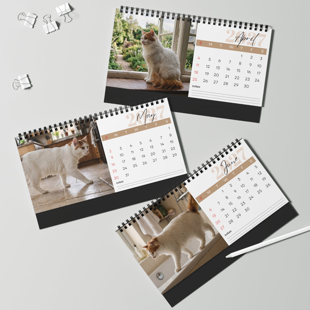 Turkish Van Cat Desk Calendar 2027