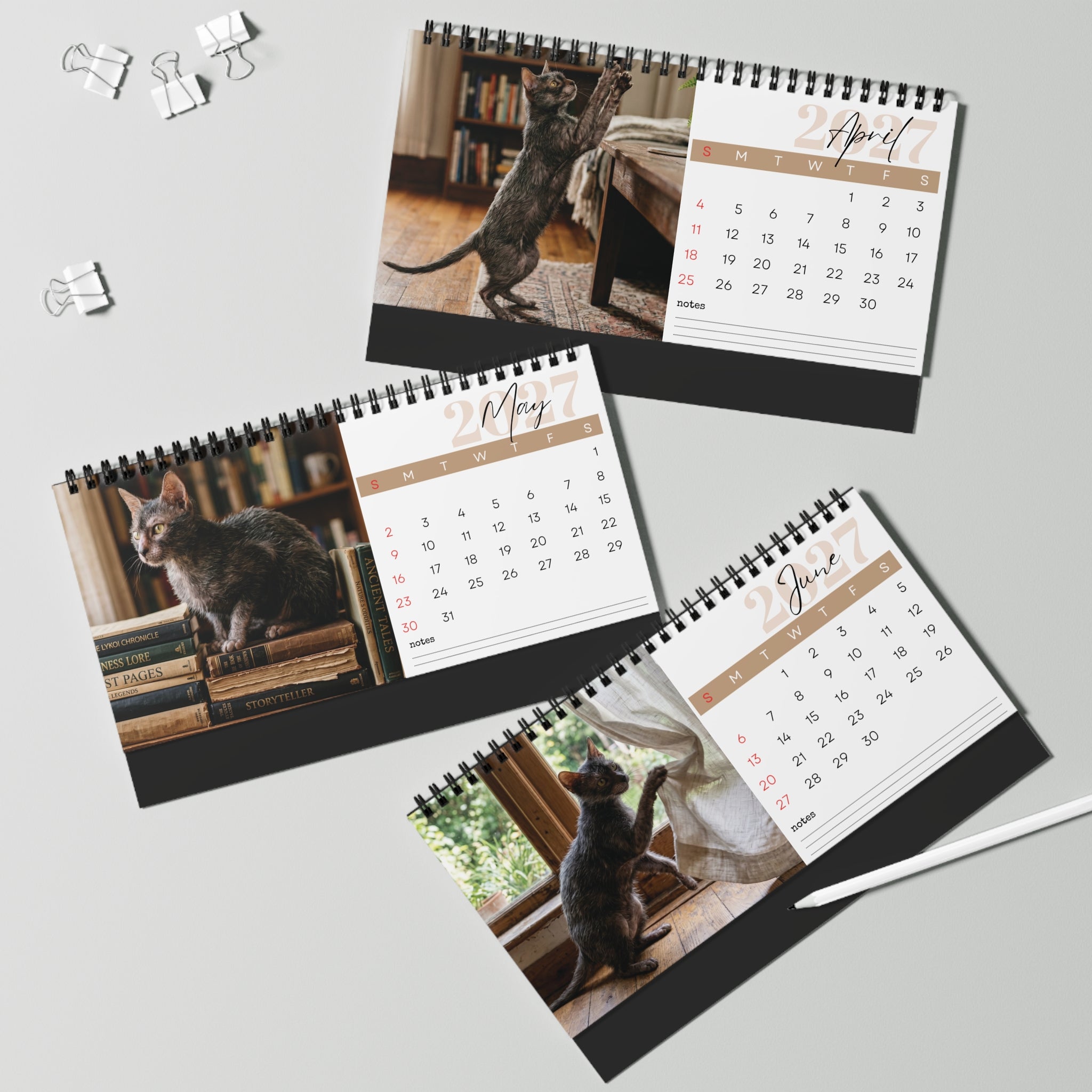 Lykoi Cat Desk Calendar 2027