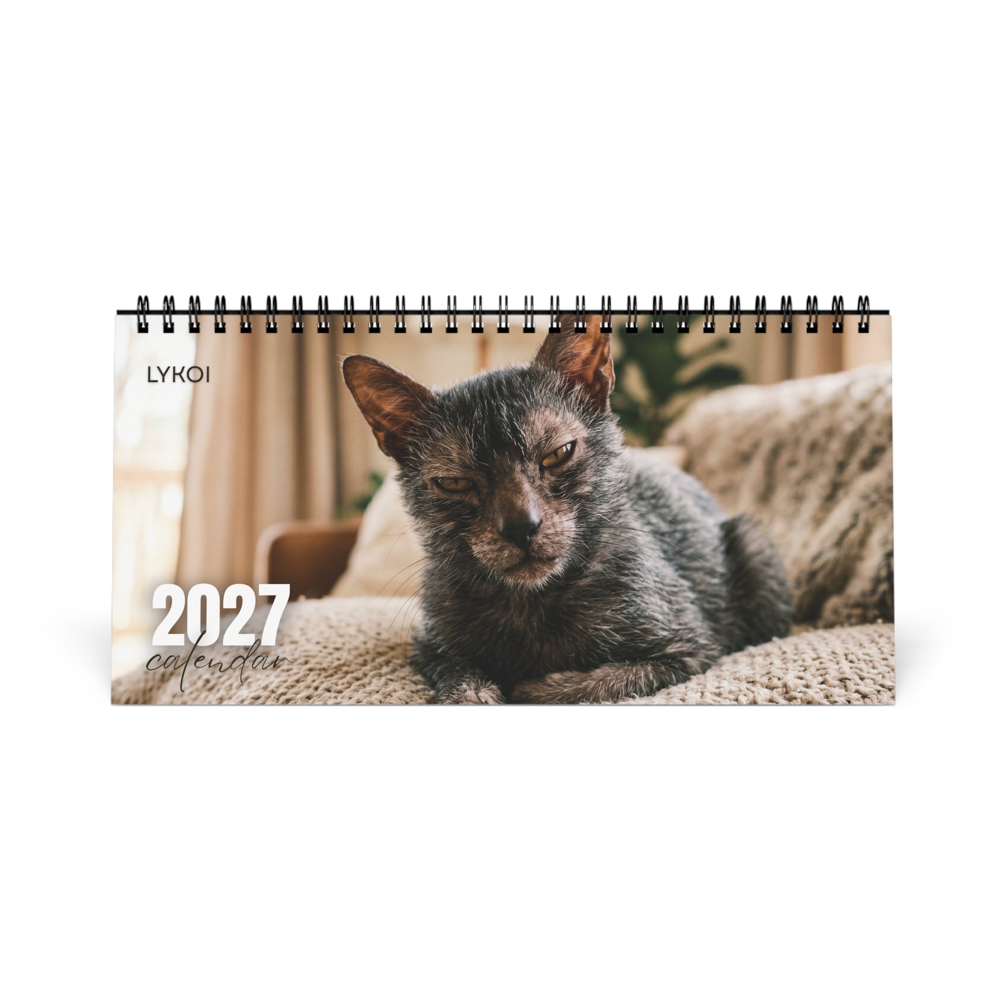 Lykoi Cat Desk Calendar 2027