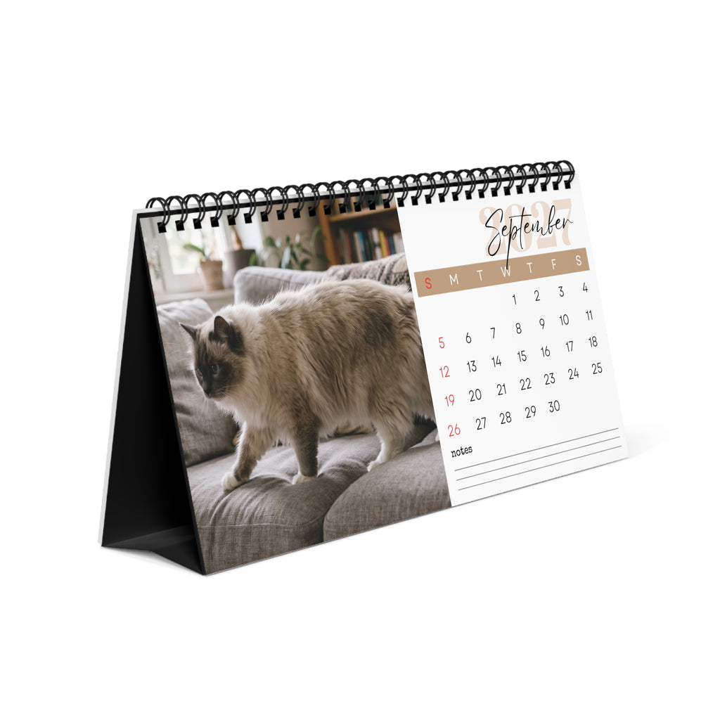 Ragdoll Cat Desk Calendar 2027