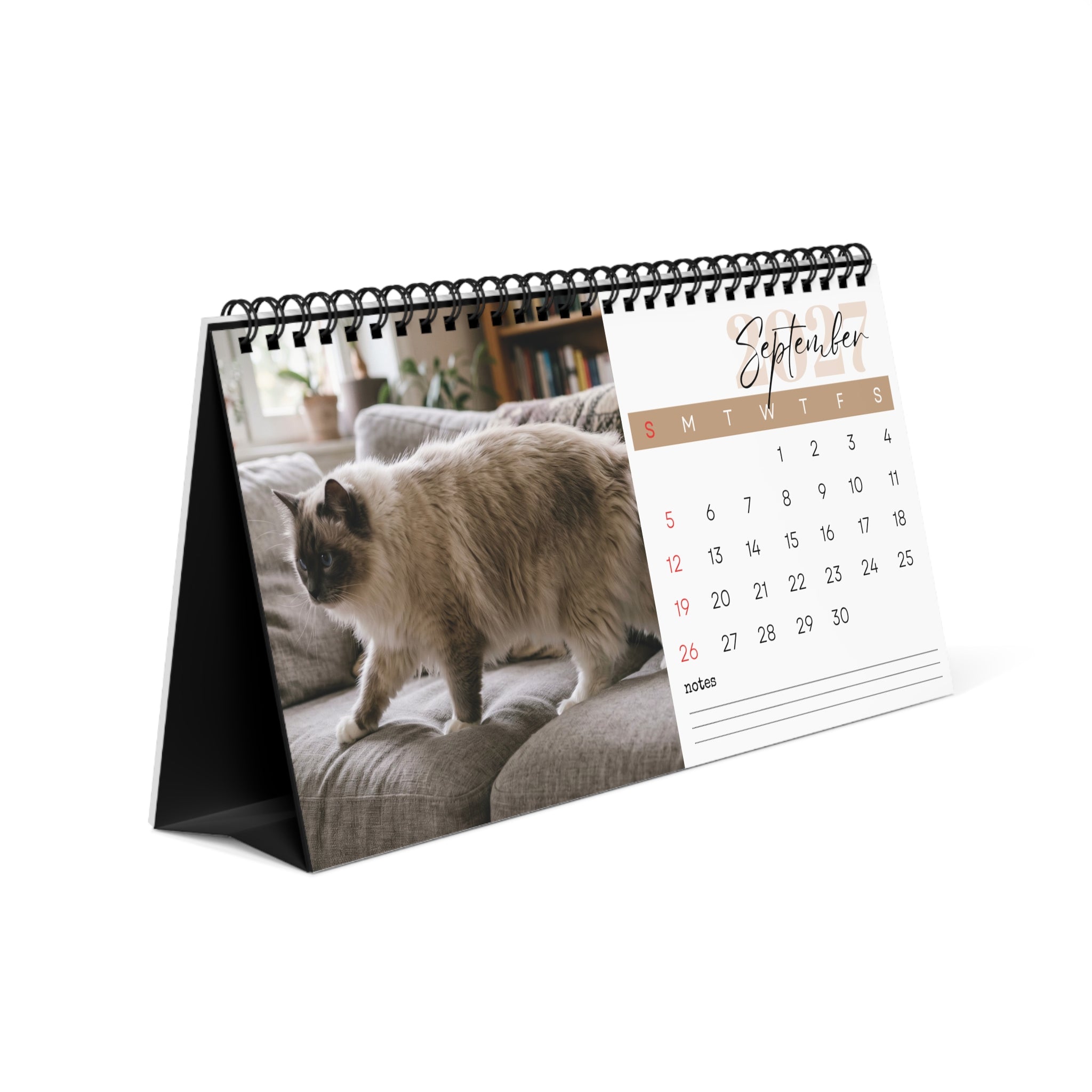 Ragdoll Cat Desk Calendar 2027