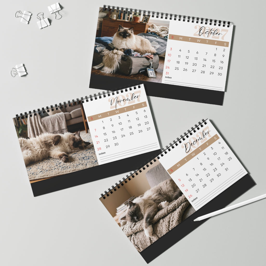 Ragdoll Cat Desk Calendar 2027