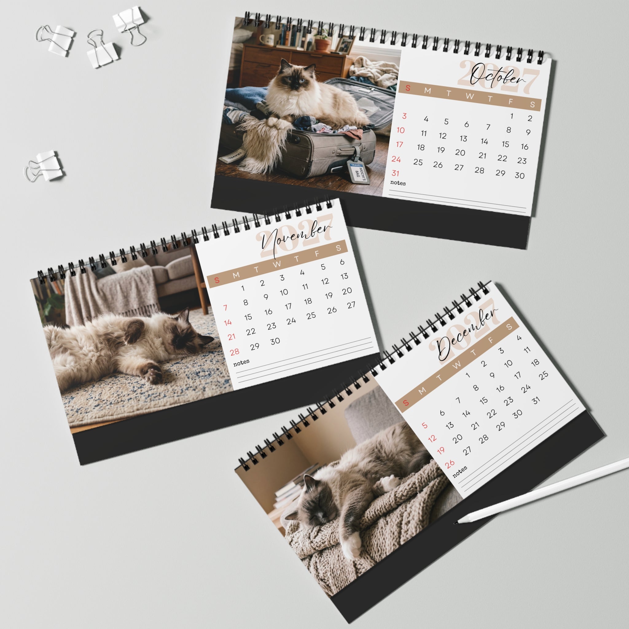 Ragdoll Cat Desk Calendar 2027