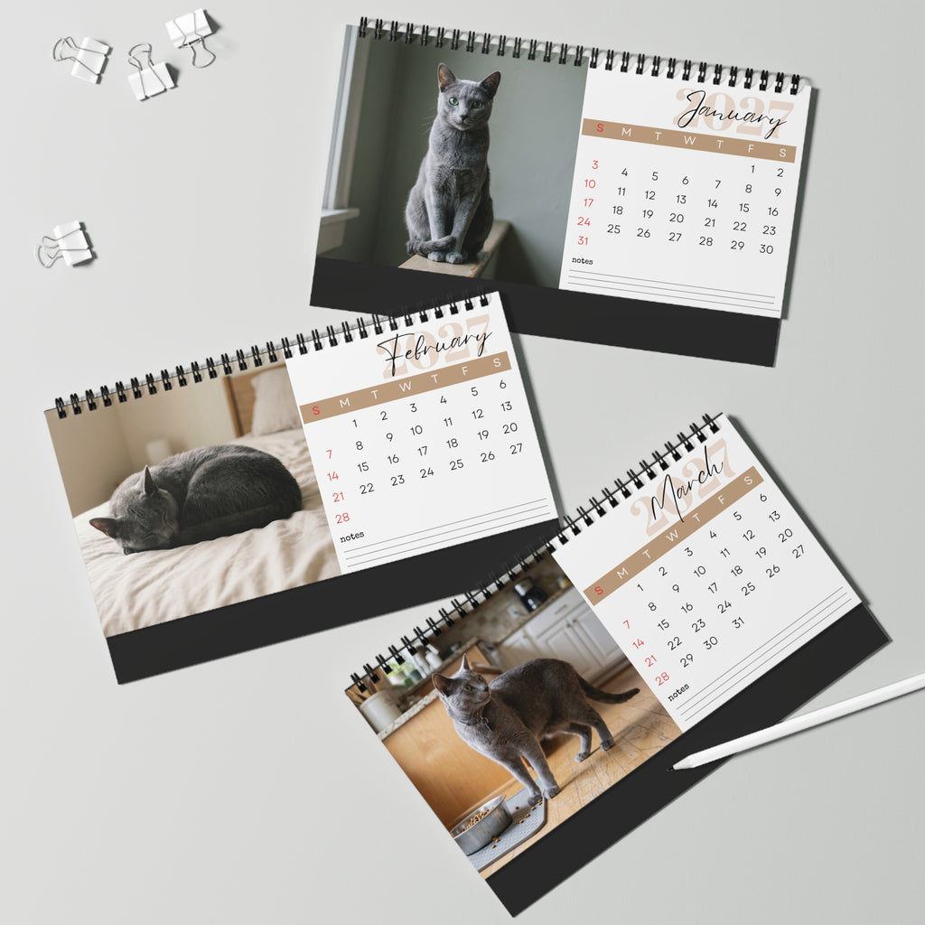 Russian Blue Cat Desk Calendar 2027