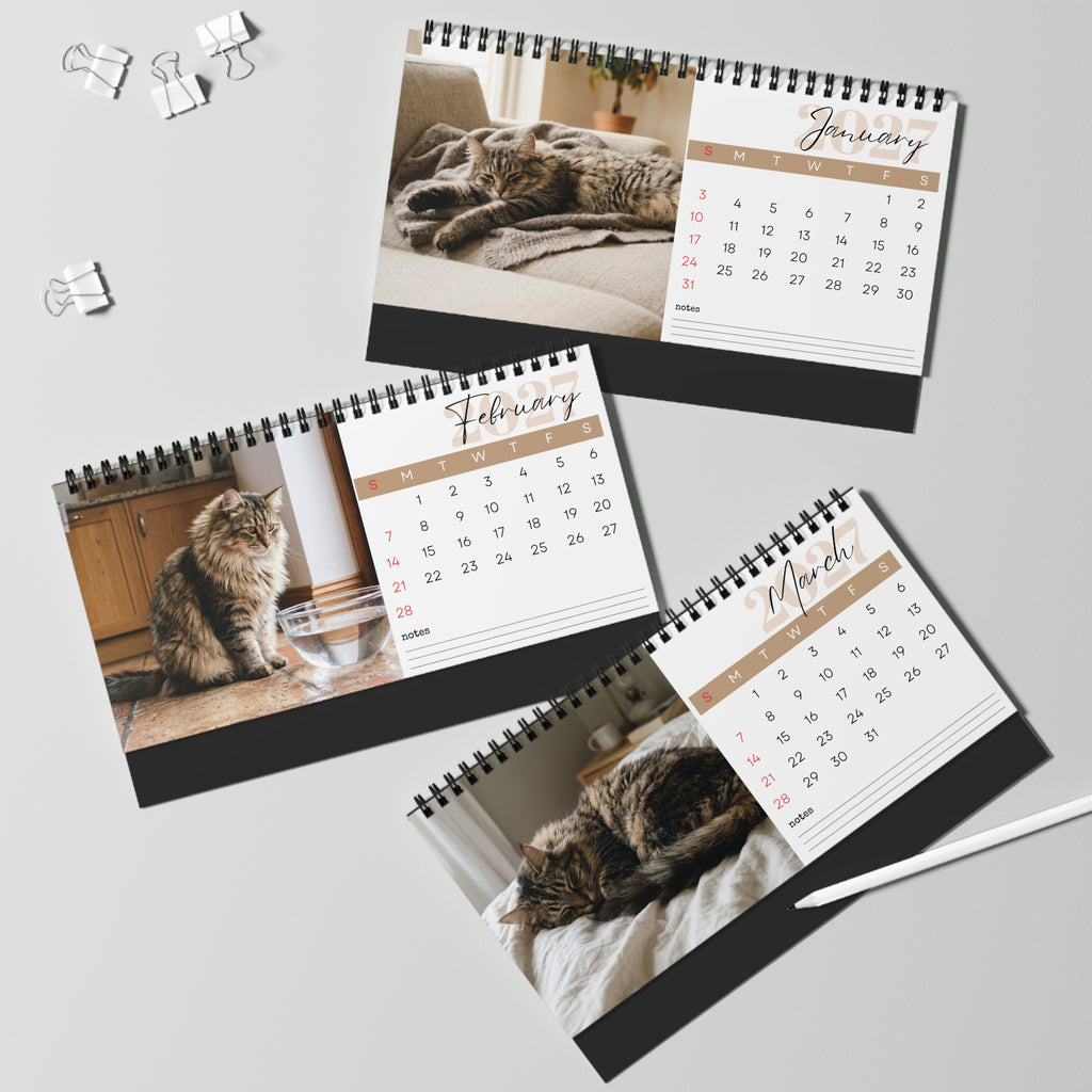 Norwegian Forest Cat Desk Calendar 2027