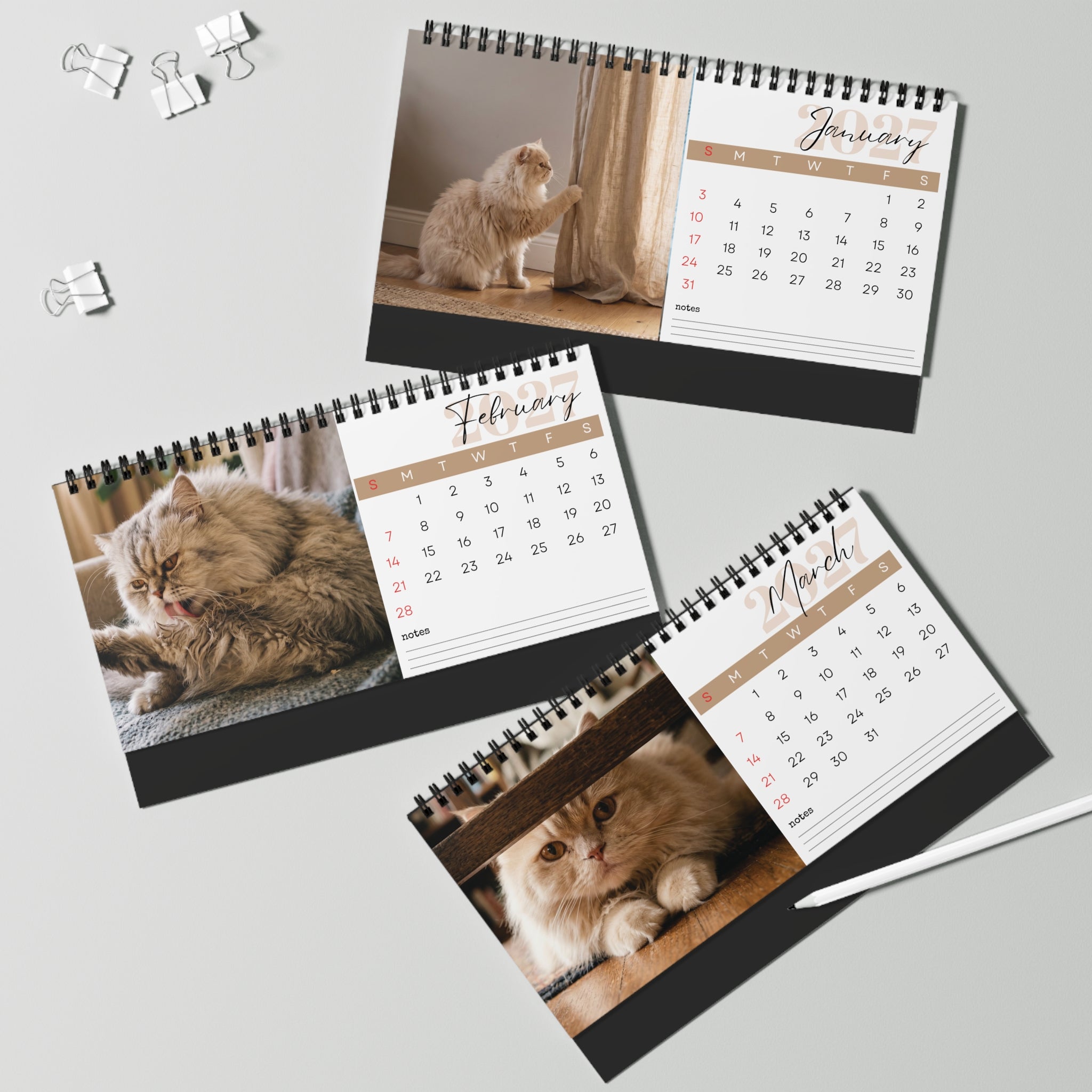Persian Cat Desk Calendar 2027