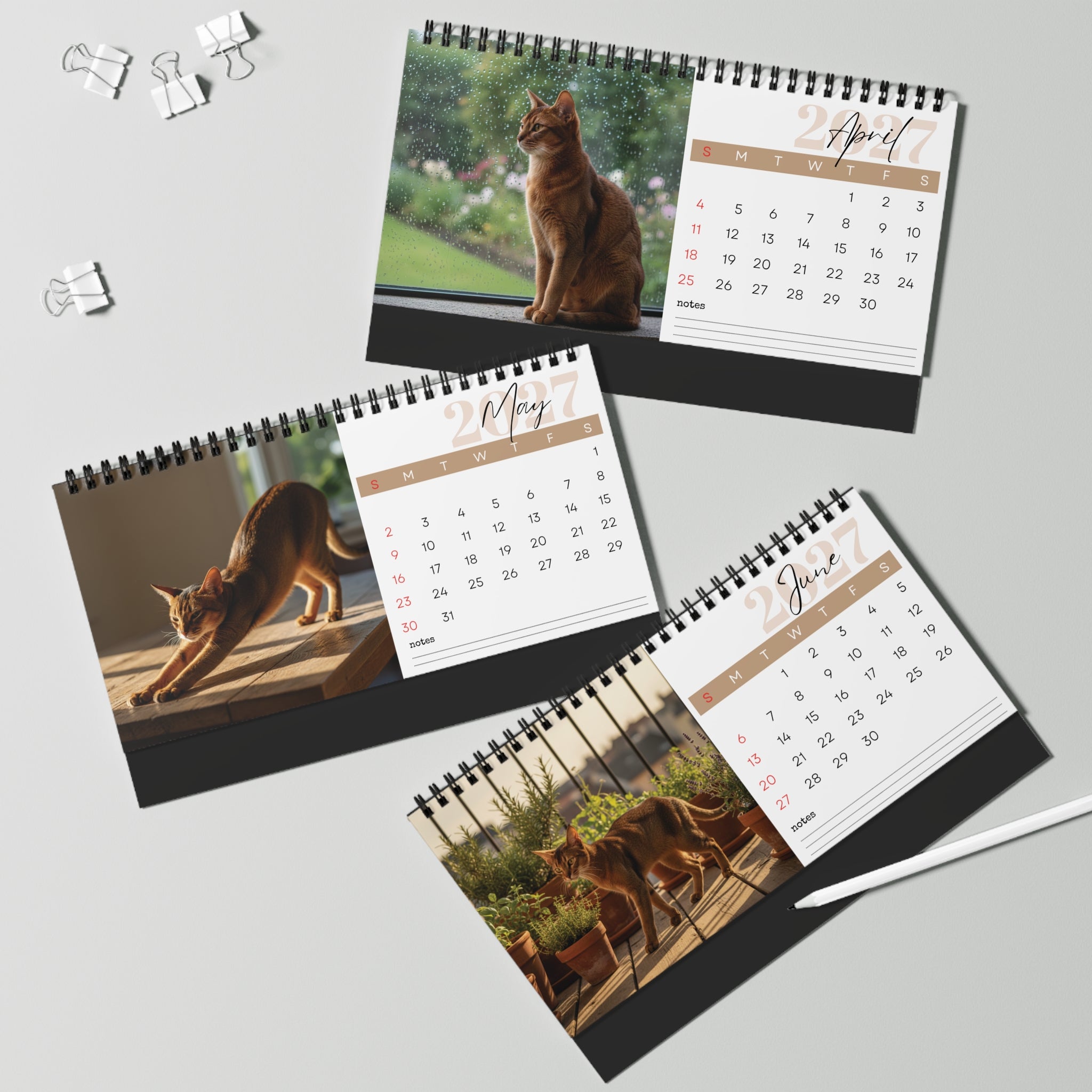 Abyssinian Cat Desk Calendar 2027