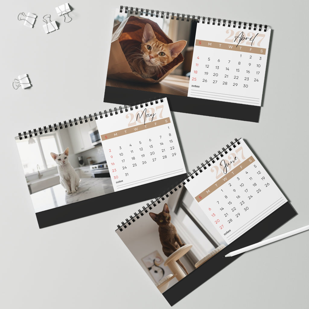 Devon Rex Desk Calendar 2027