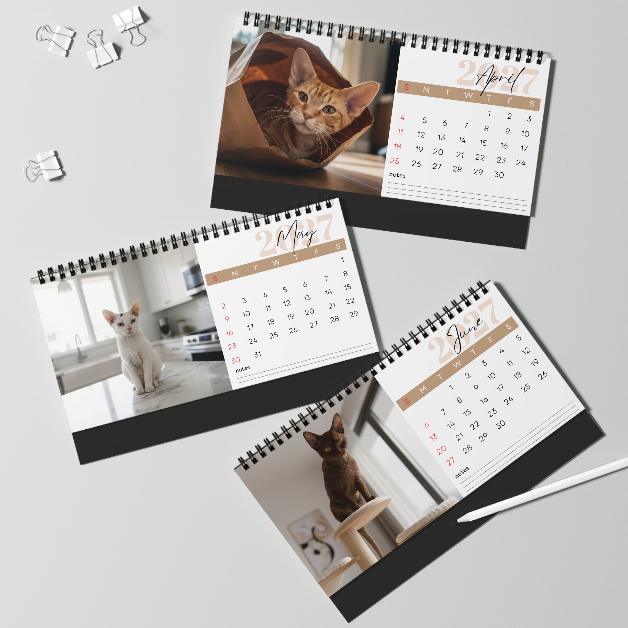 Devon Rex Desk Calendar 2027