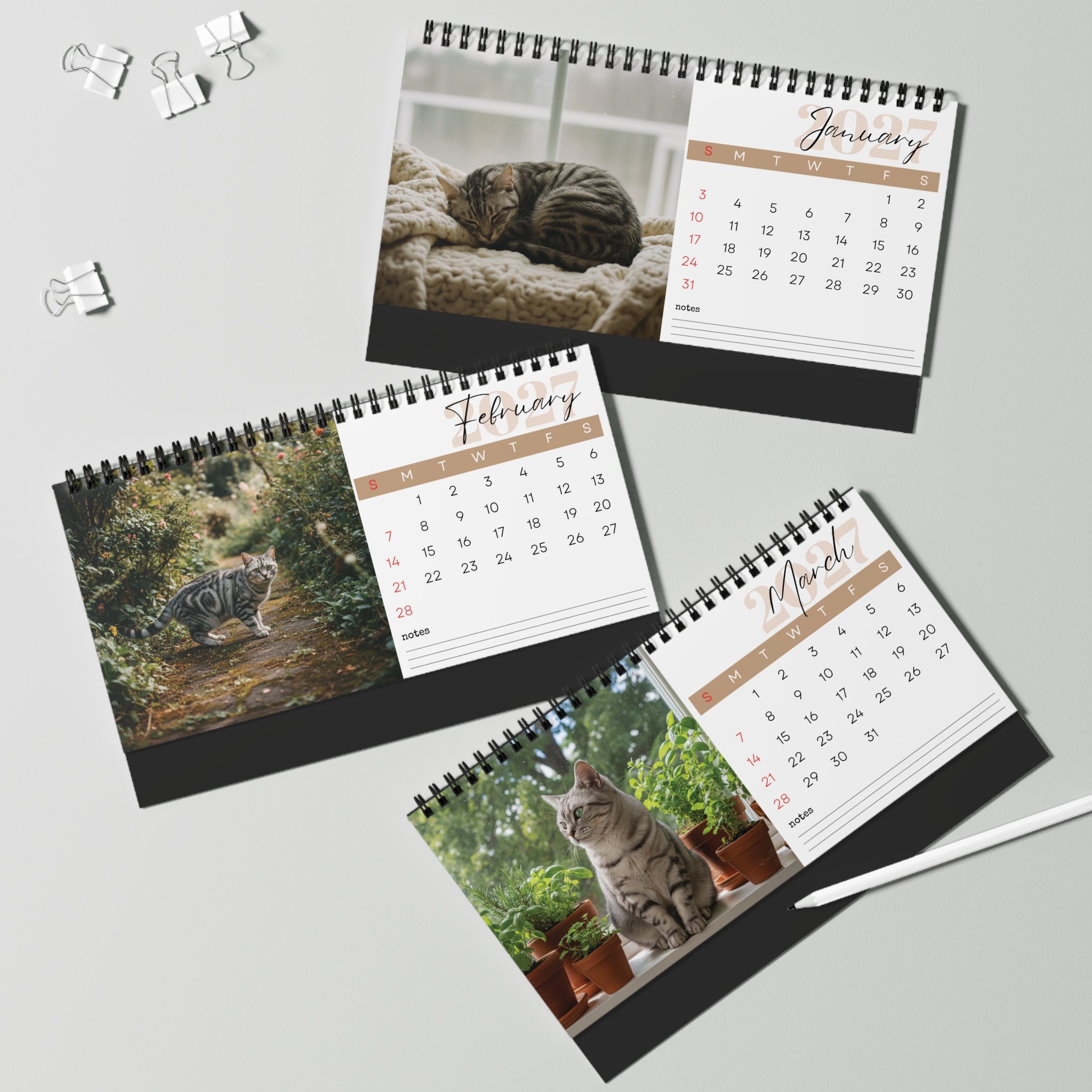 American Shorthair Cat Desk Calendar 2027