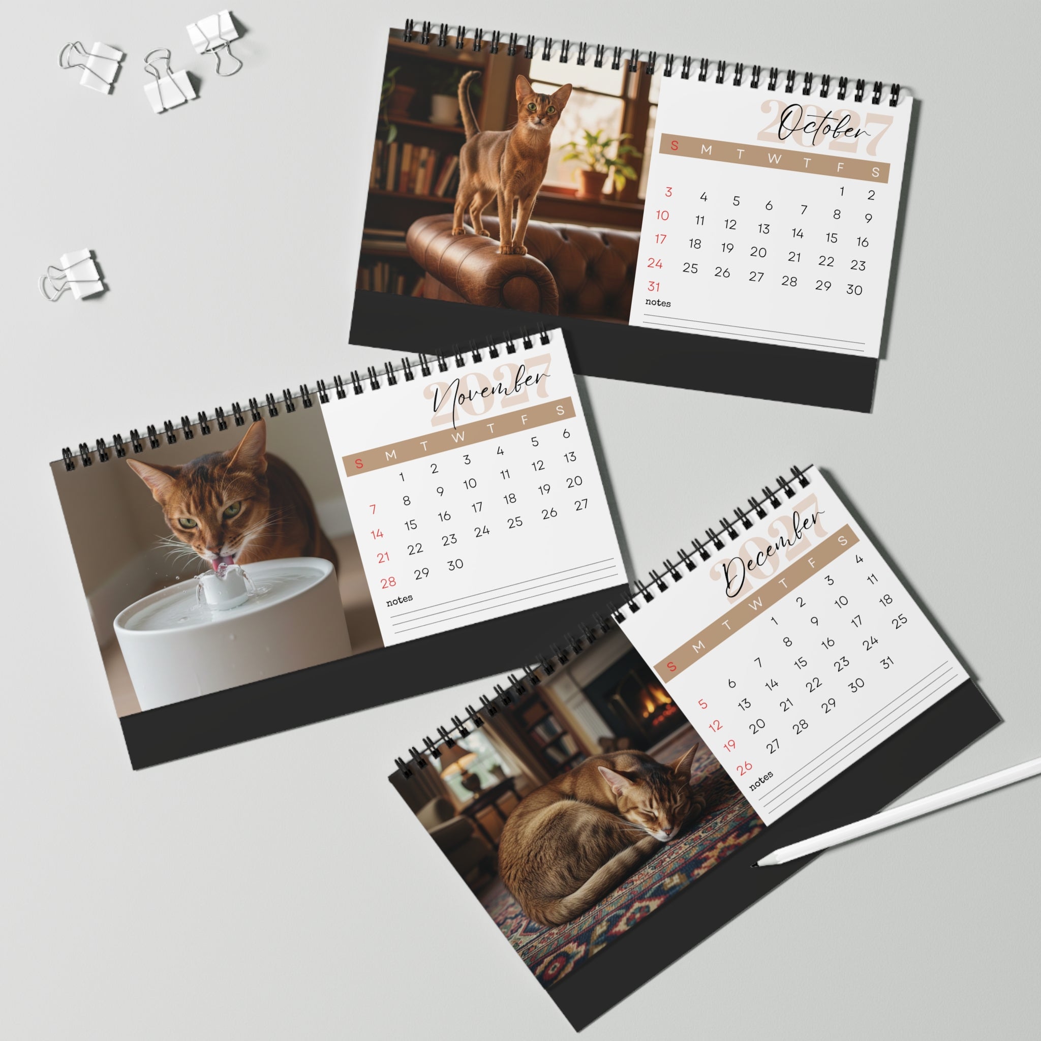 Abyssinian Cat Desk Calendar 2027
