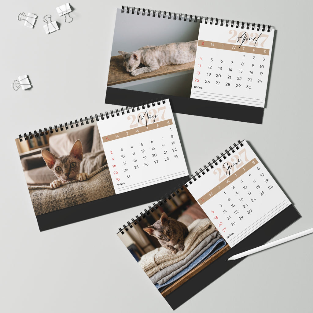 Minskin Cat Desk Calendar 2027