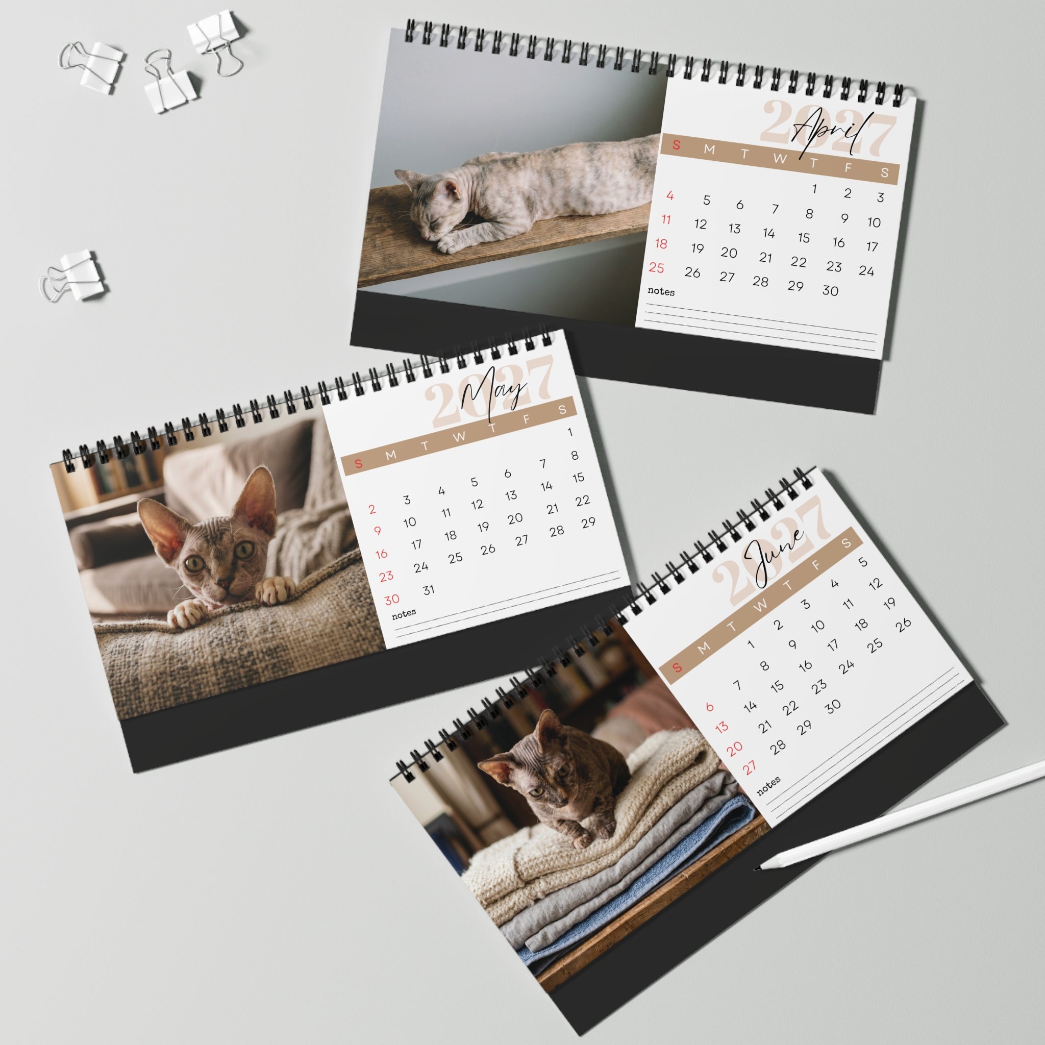Minskin Cat Desk Calendar 2027