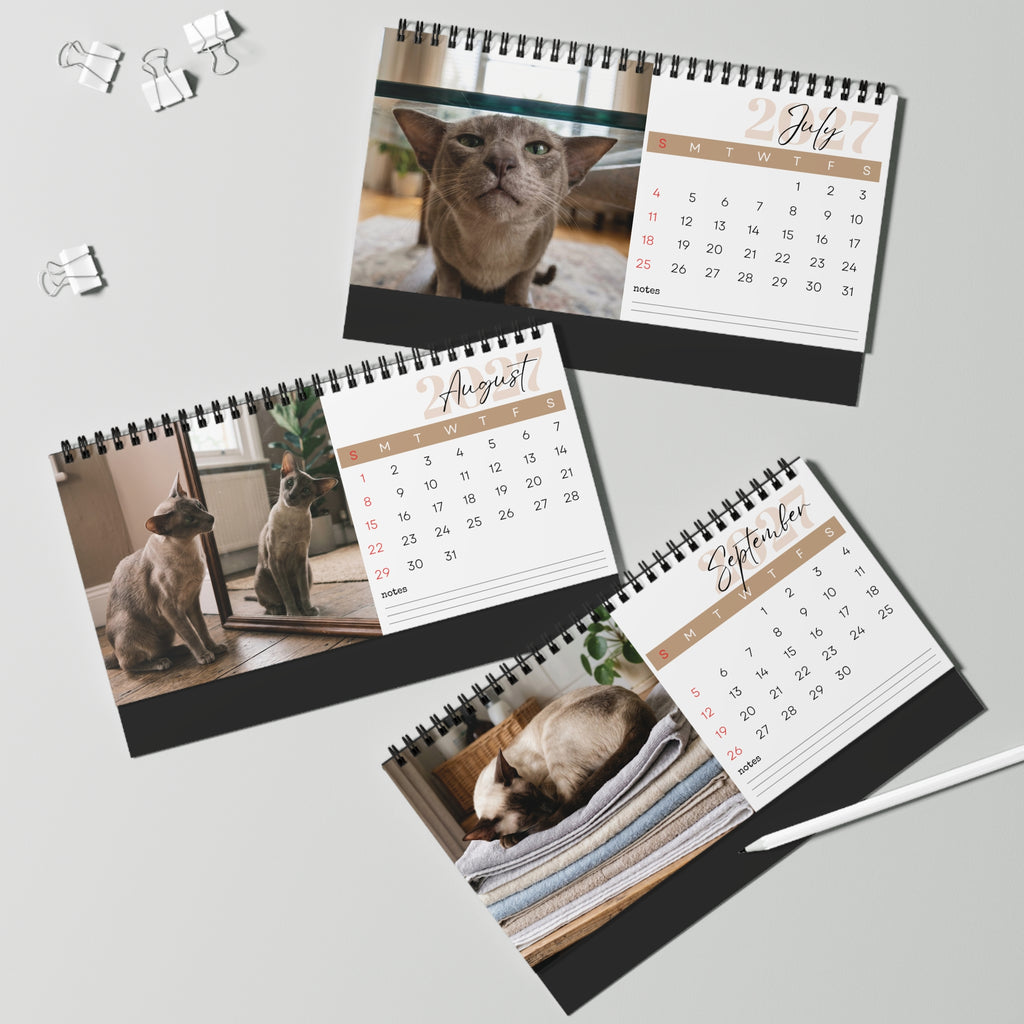 Oriental Shorthair Desk Calendar 2027