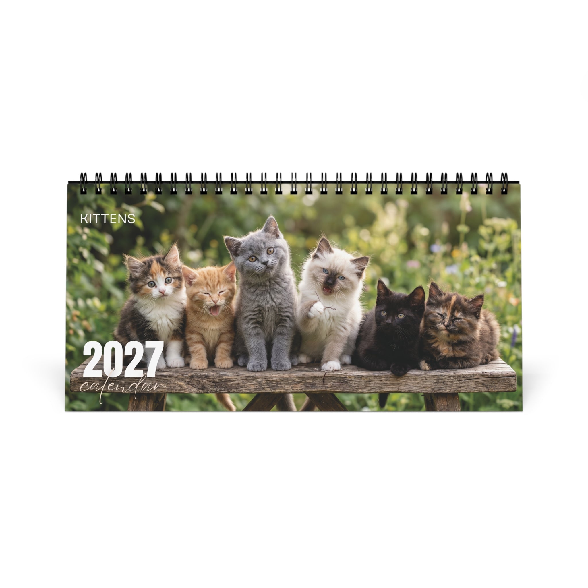 Kitten Desk Calendar 2027