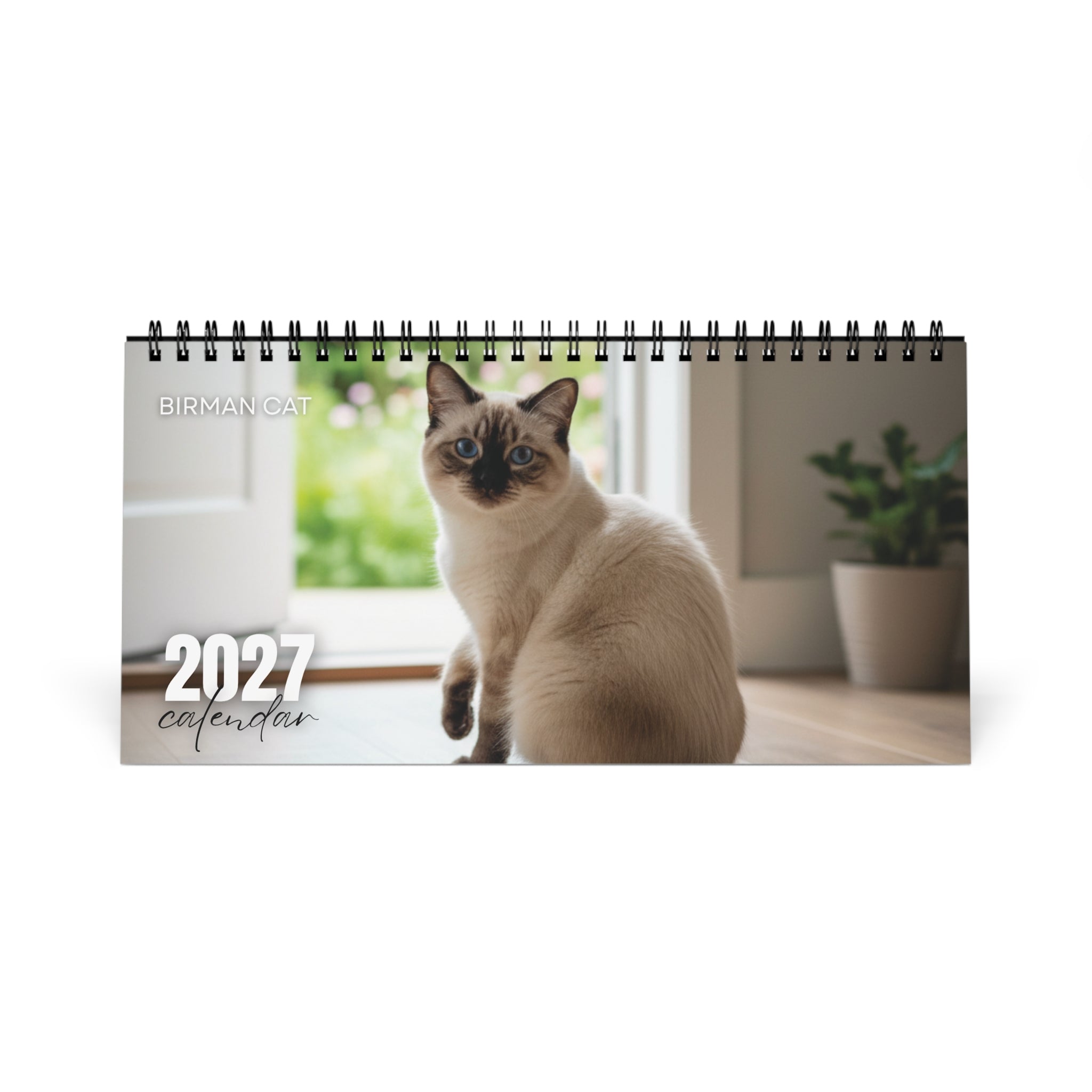 Birman Cat Desk Calendar 2027