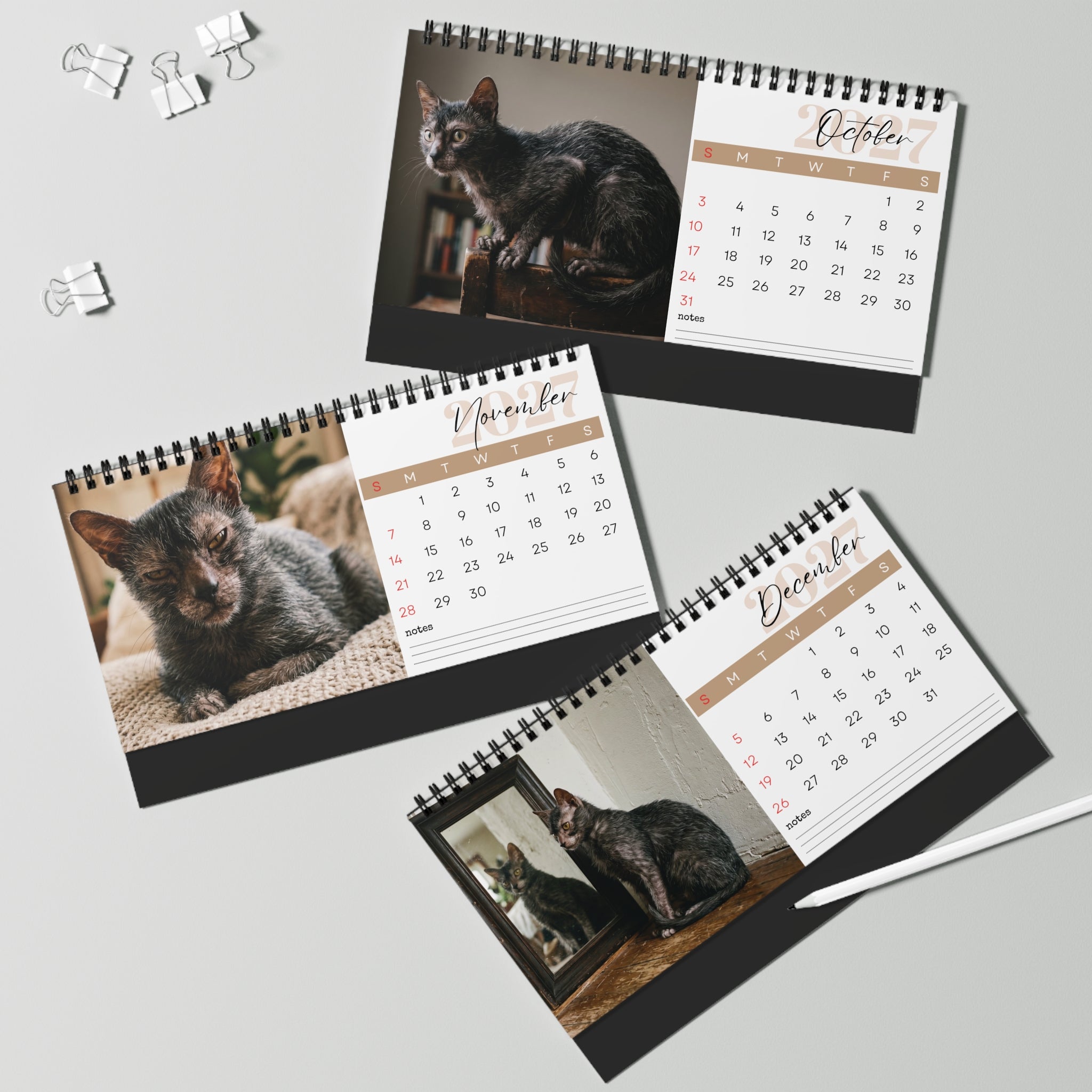 Lykoi Cat Desk Calendar 2027