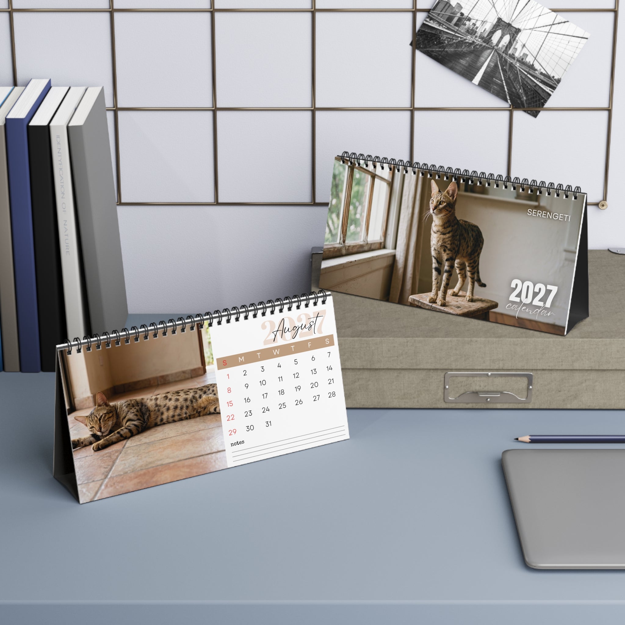 Serengeti Cat Desk Calendar 2027