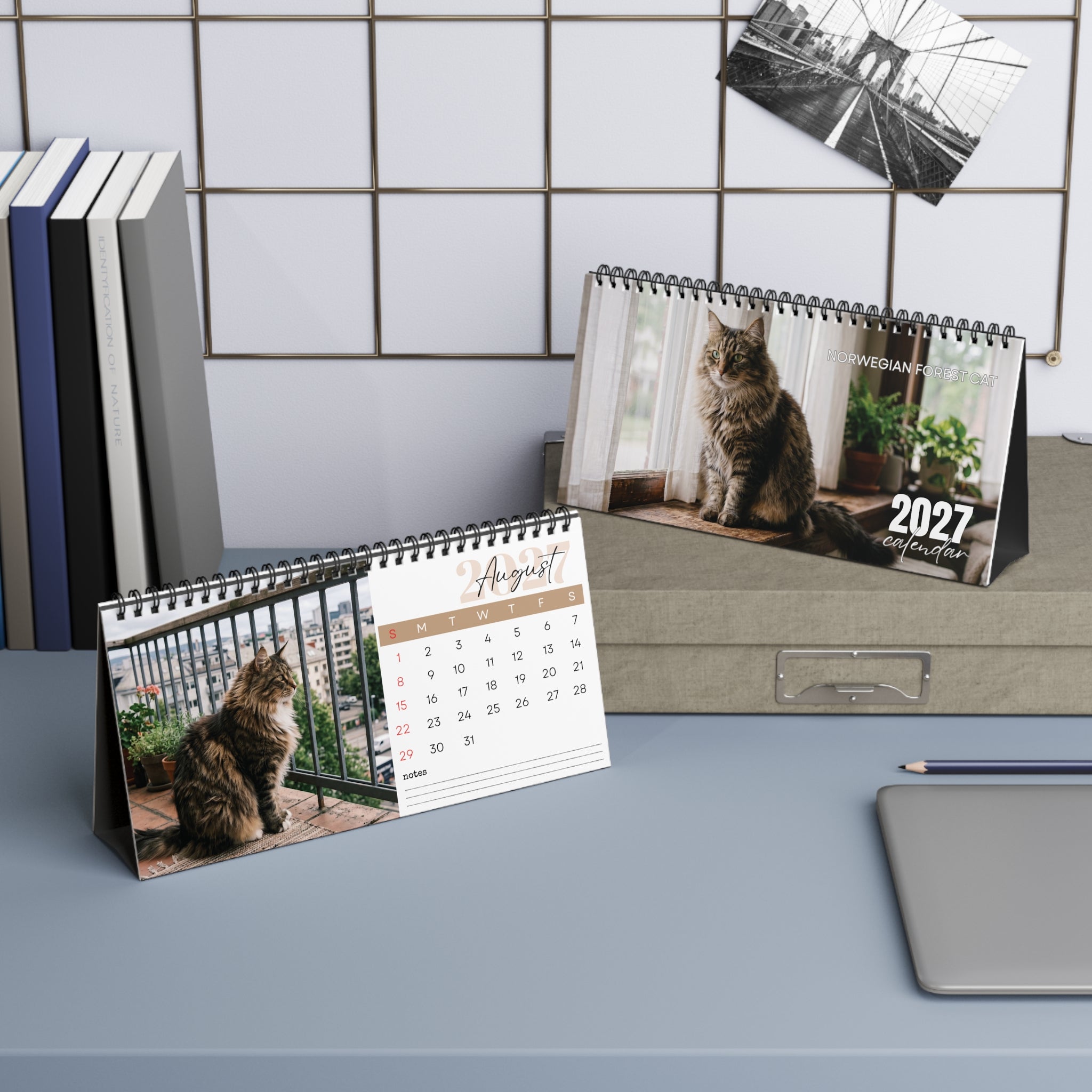 Norwegian Forest Cat Desk Calendar 2027