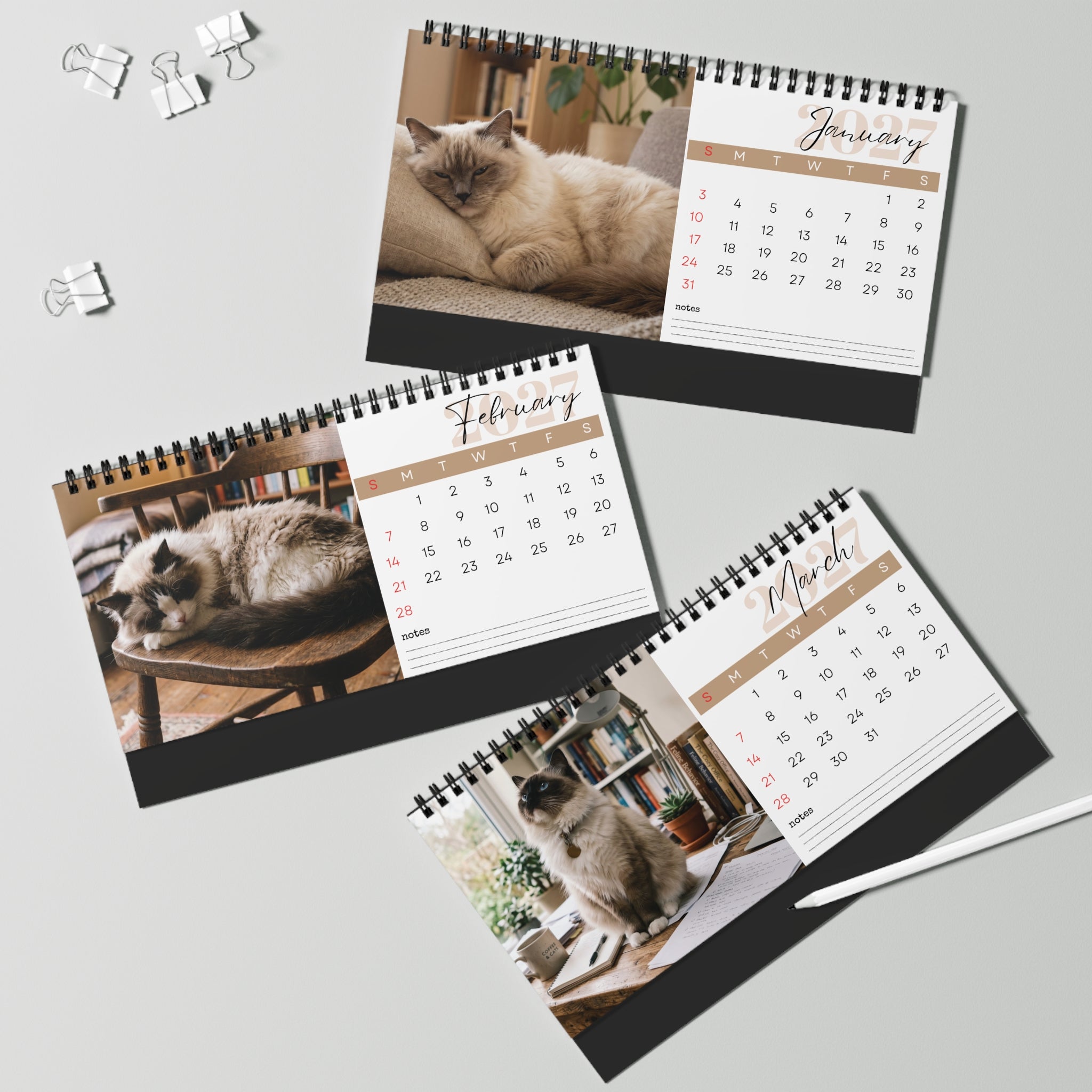 Ragdoll Cat Desk Calendar 2027