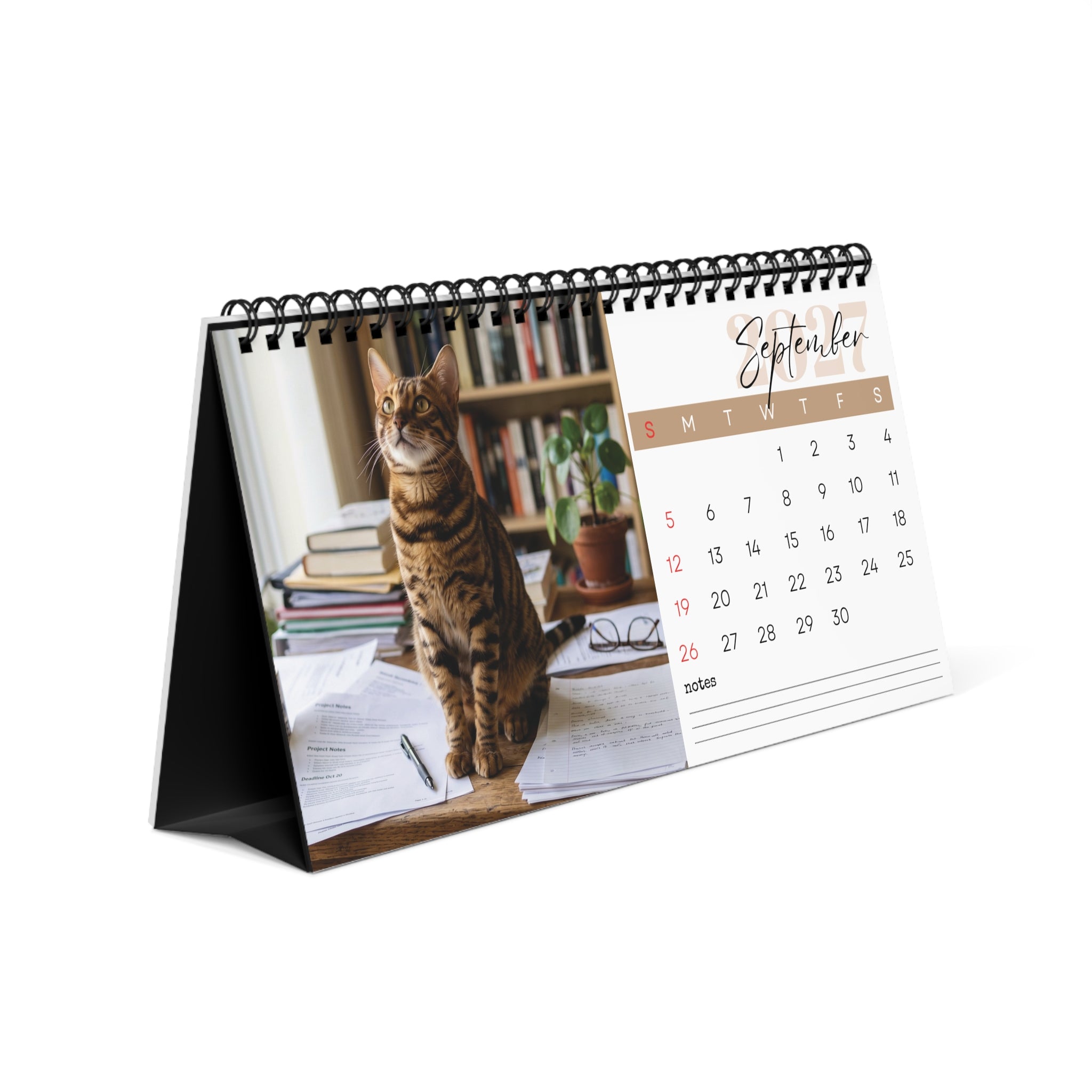 Toyger Cat Desk Calendar 2027