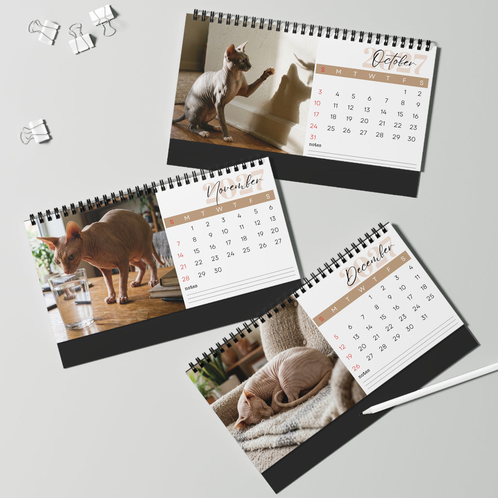 Peterbald Cat Desk Calendar 2027