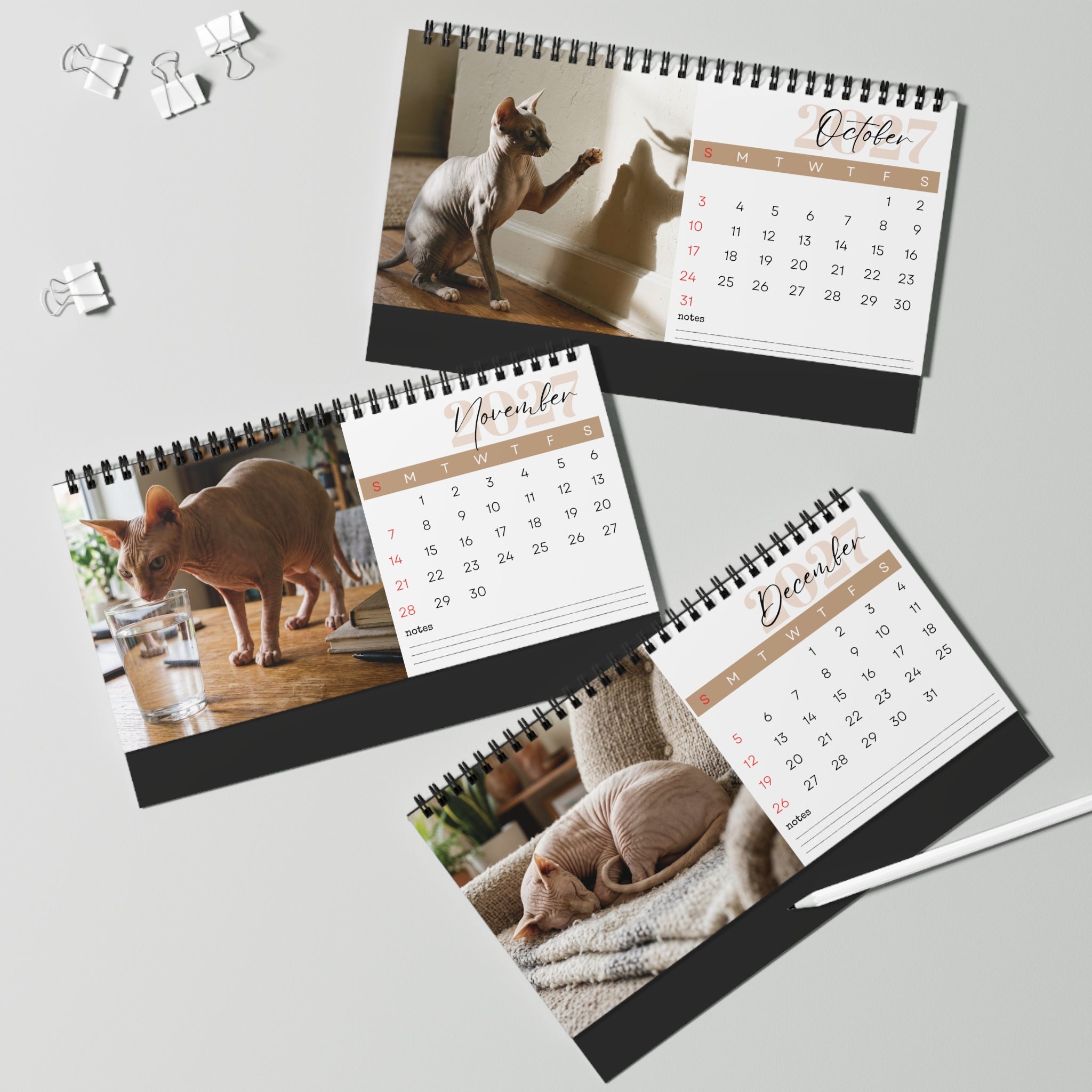 Peterbald Cat Desk Calendar 2027
