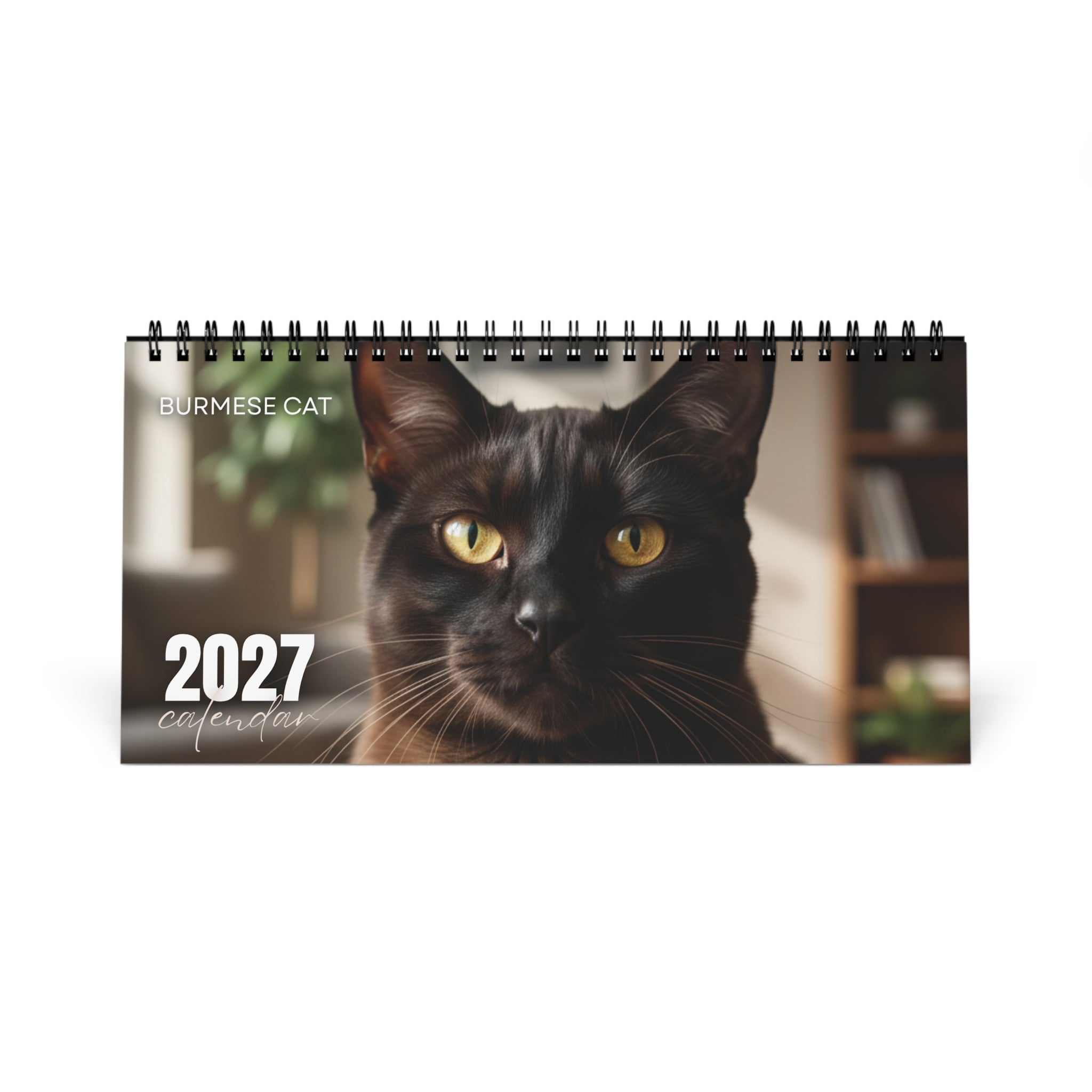 Burmese Cat Desk Calendar 2027