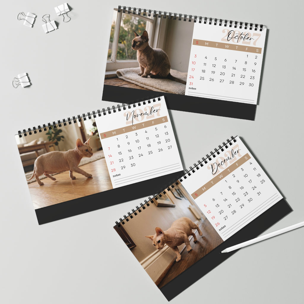 Minskin Cat Desk Calendar 2027