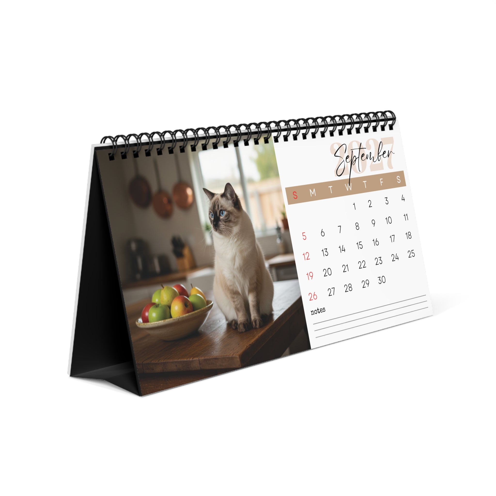 Birman Cat Desk Calendar 2027