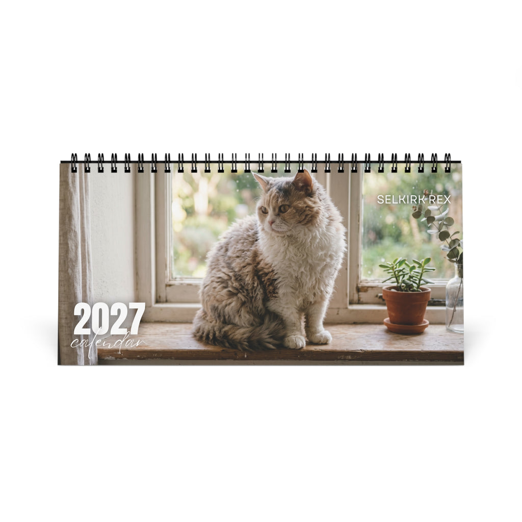 Selkirk Rex Cat Desk Calendar 2027