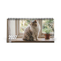 Selkirk Rex Cat Desk Calendar 2027