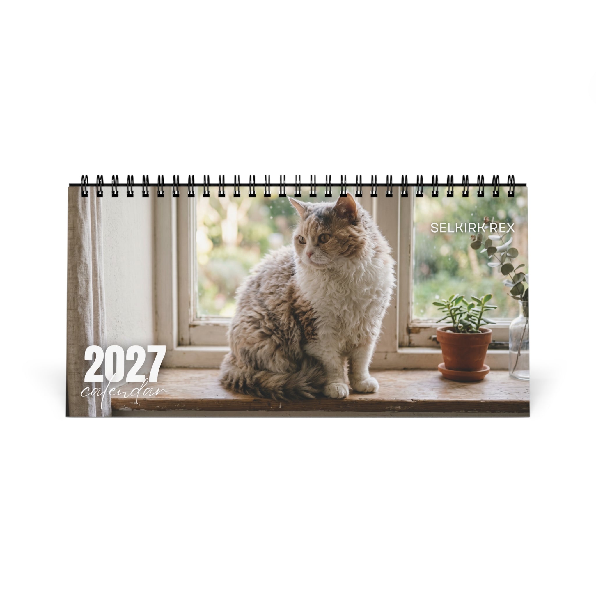 Selkirk Rex Cat Desk Calendar 2027