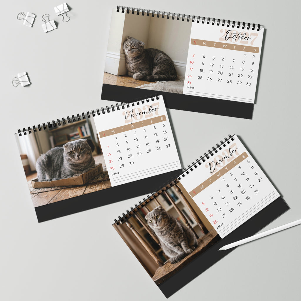 Scottish Fold Cat Desk Calendar 2027