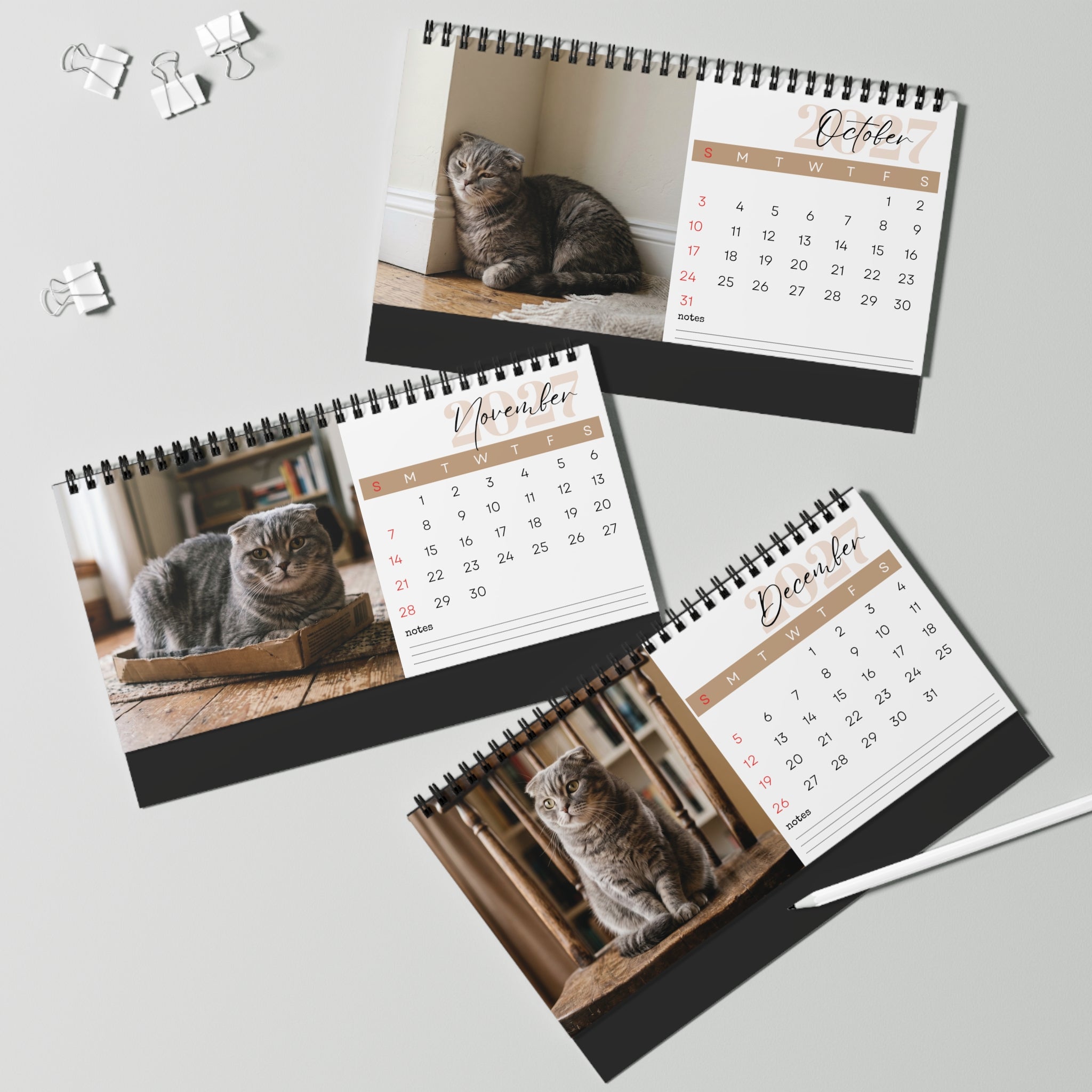 Scottish Fold Cat Desk Calendar 2027
