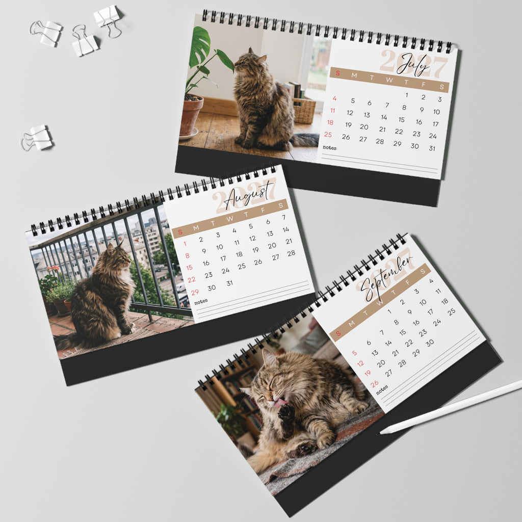 Norwegian Forest Cat Desk Calendar 2027
