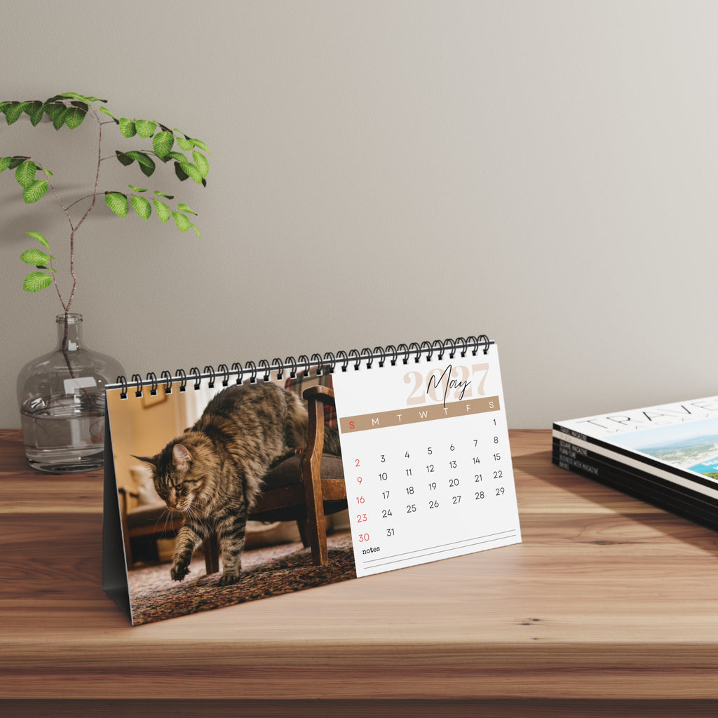 Maine Coon Cat Desk Calendar 2027